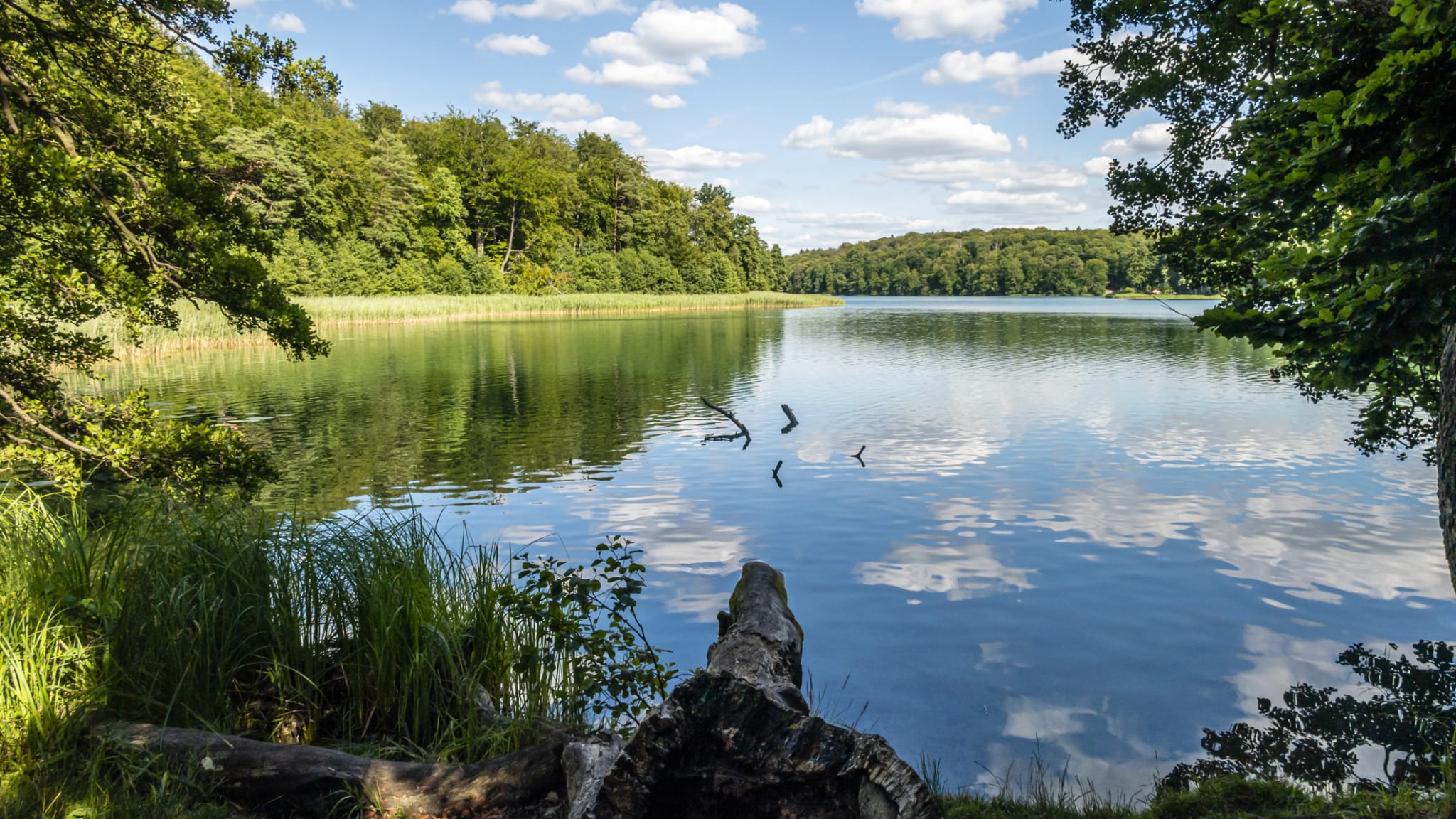 Liepnitzsee, Brandenburg, Deutschland