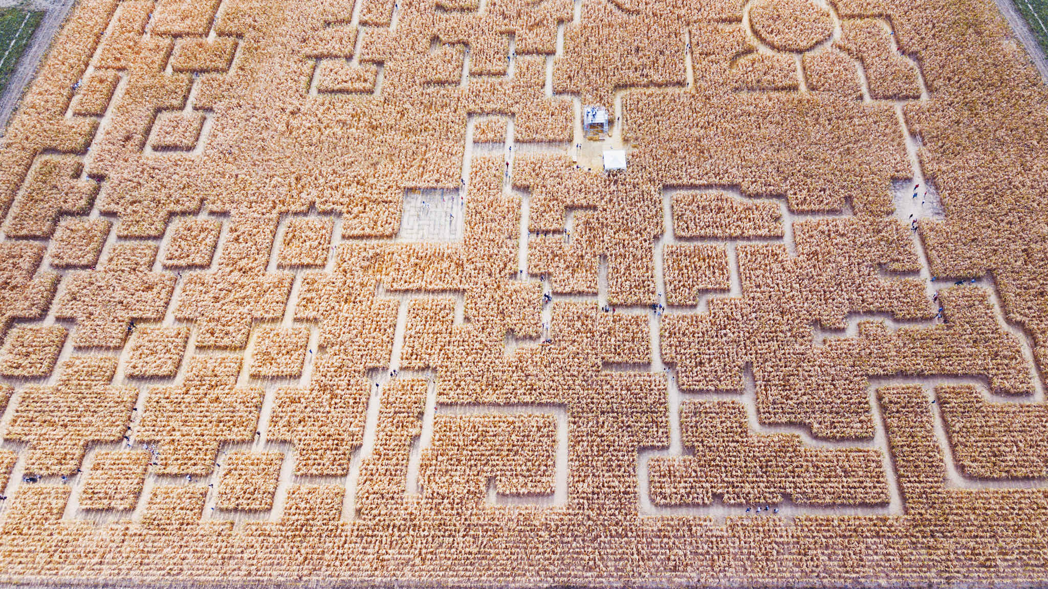 Blick auf ein Maislabyrinth