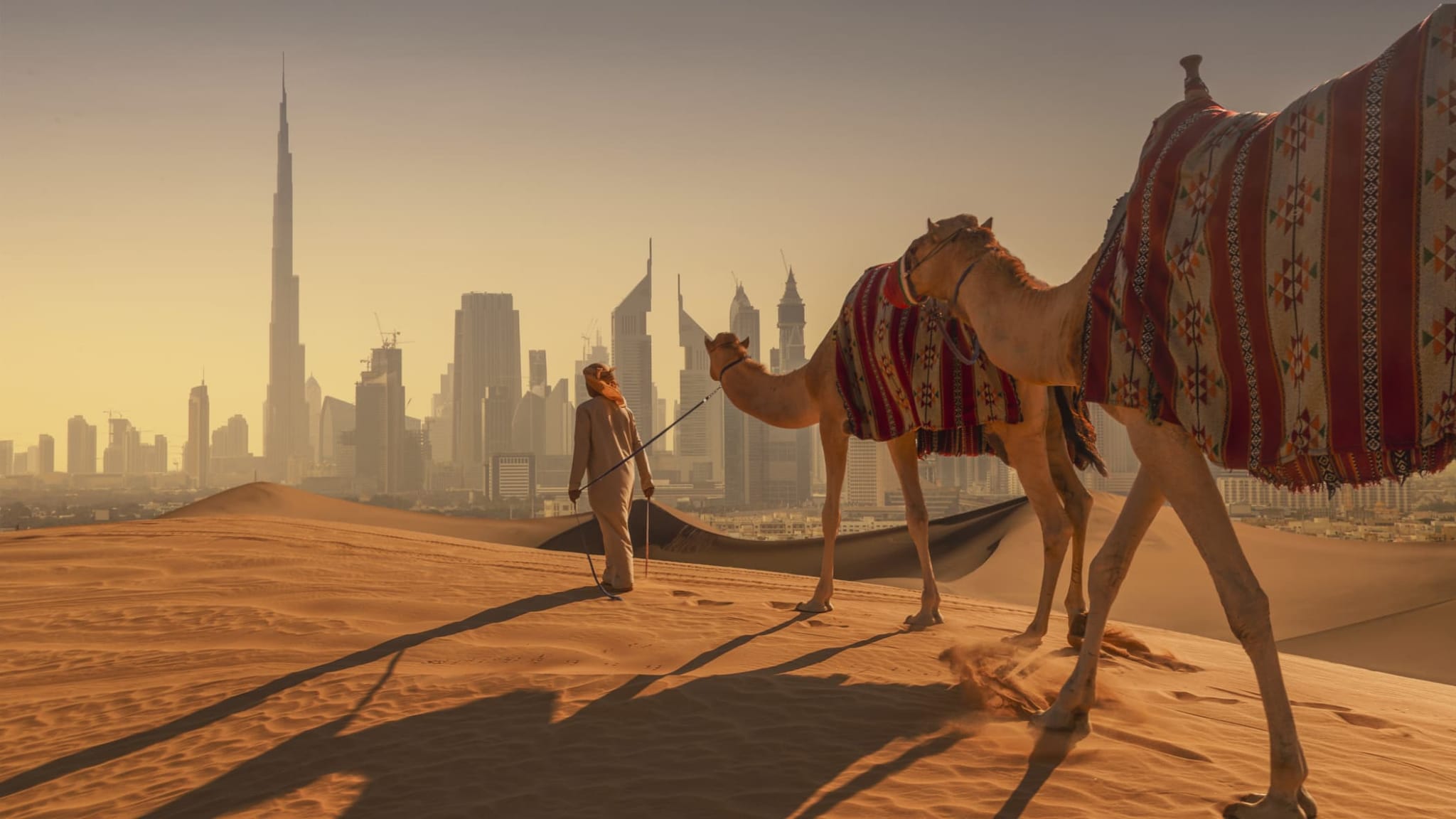 Ein Mann wandert mit Kamelen durch die Wüste mit der Skyline von Dubai im Hintergrund, VAE.