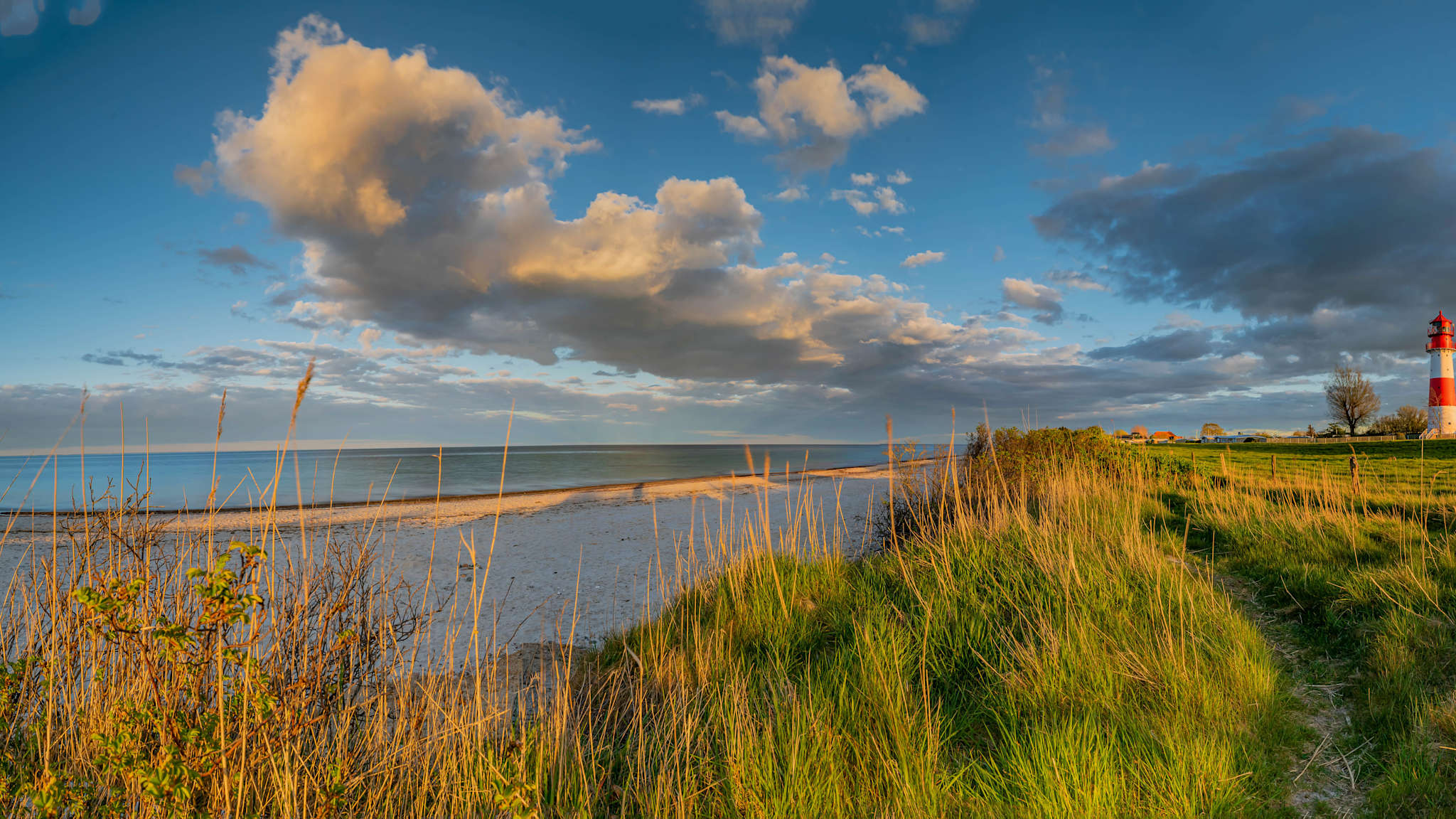 Blick über einen schmalen Streifen Sand an der Ostsee. Dahinter ist ein grünes Feld und ein rot-weißer Leuchtturm.