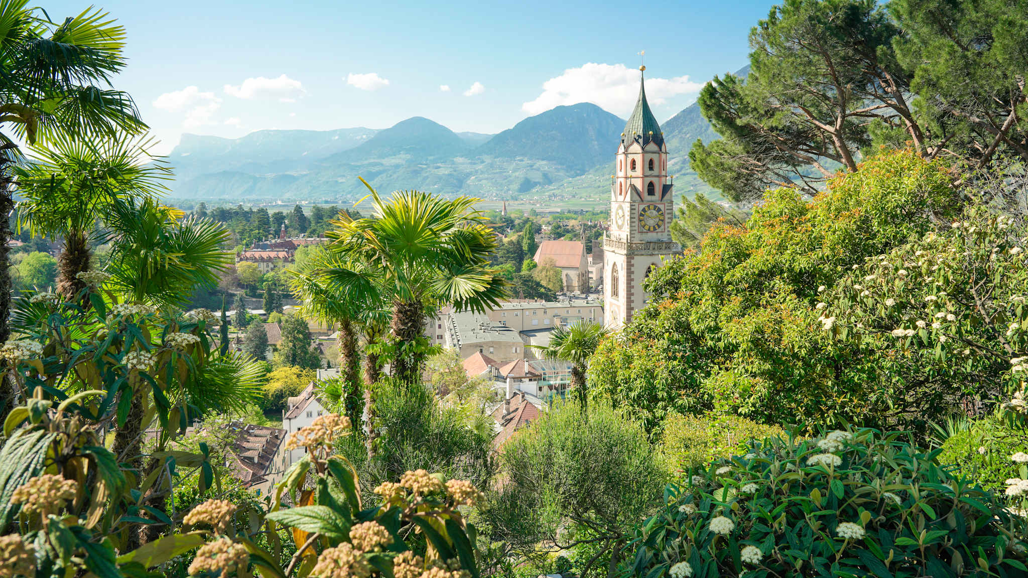 Blick durch Grün und Palmen auf eine Kirche der Stadt Meran, im Hintergrund sind die Berge der Alpen zu sehen.