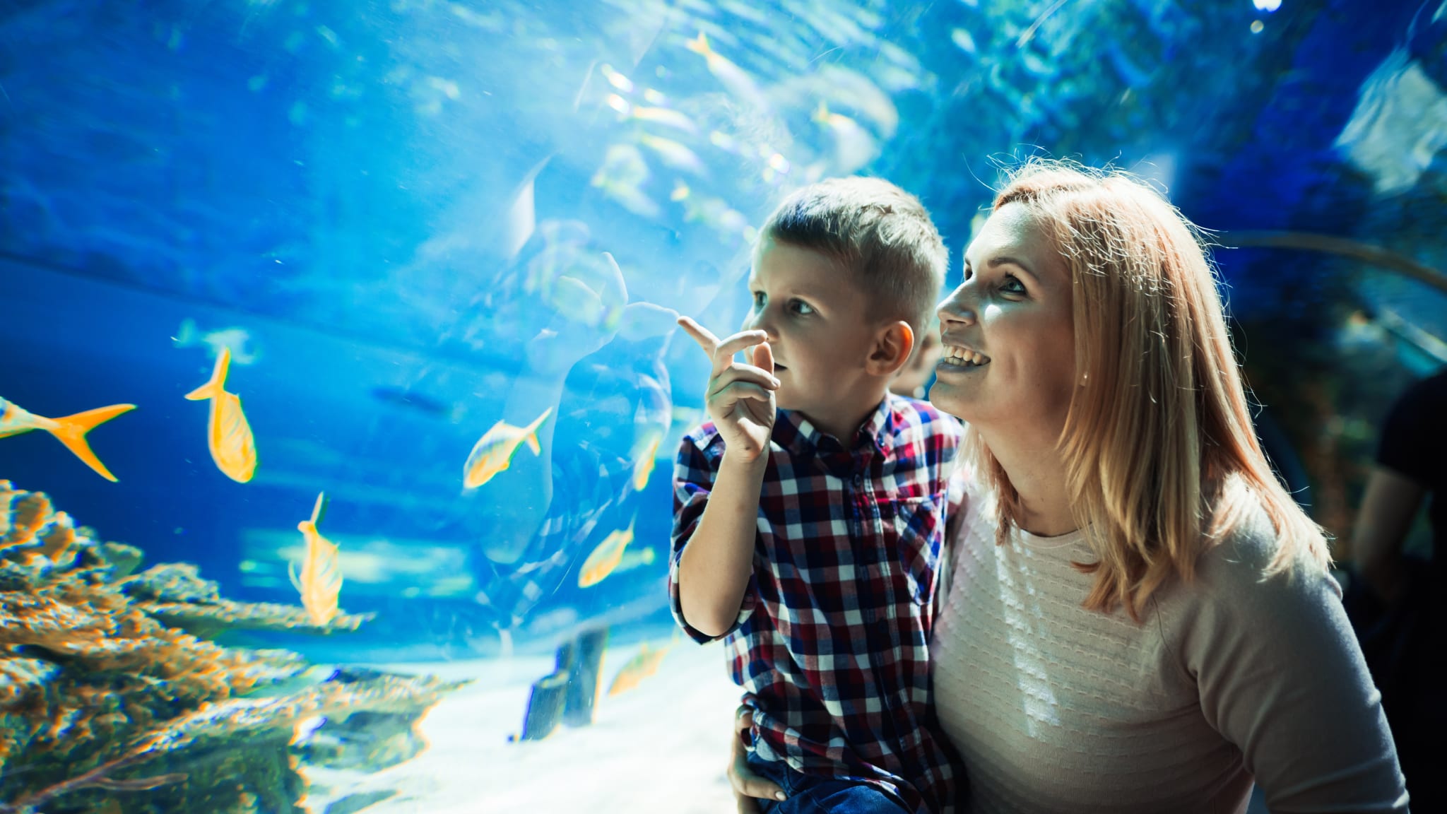 Mutter und Kind im Sea Life © NDABCREATIVITY