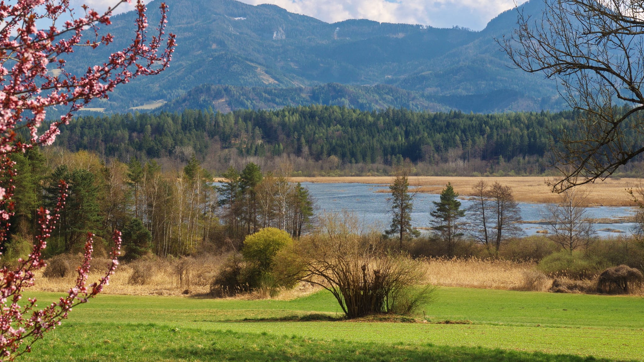 Blick auf ein Gebirge mit einem Gewässer im Vordergrund
