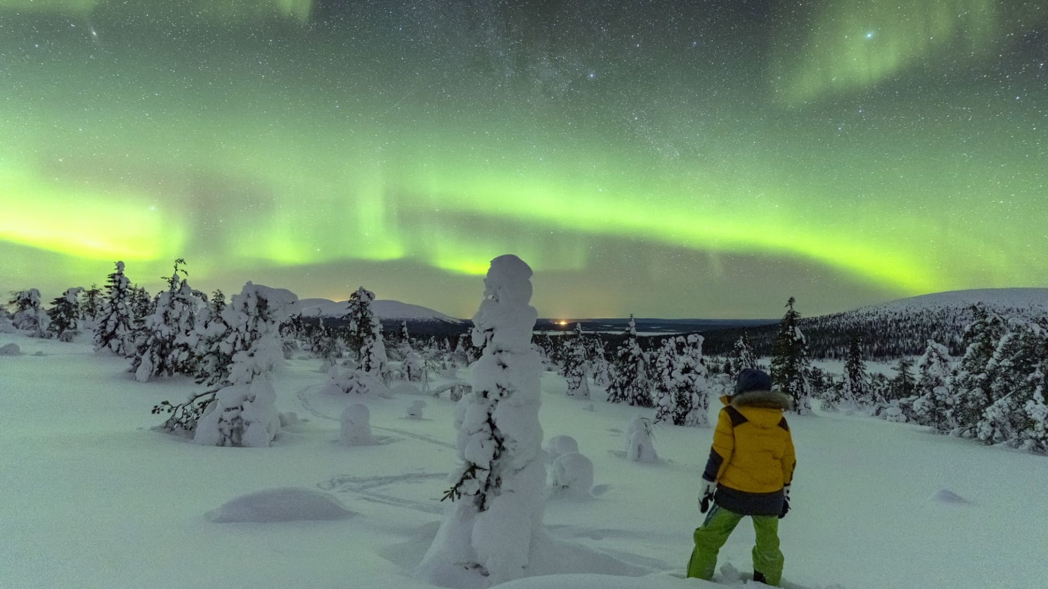 Nordlichter über einem schneebedecktem Wald in Lapland, Finnland.
