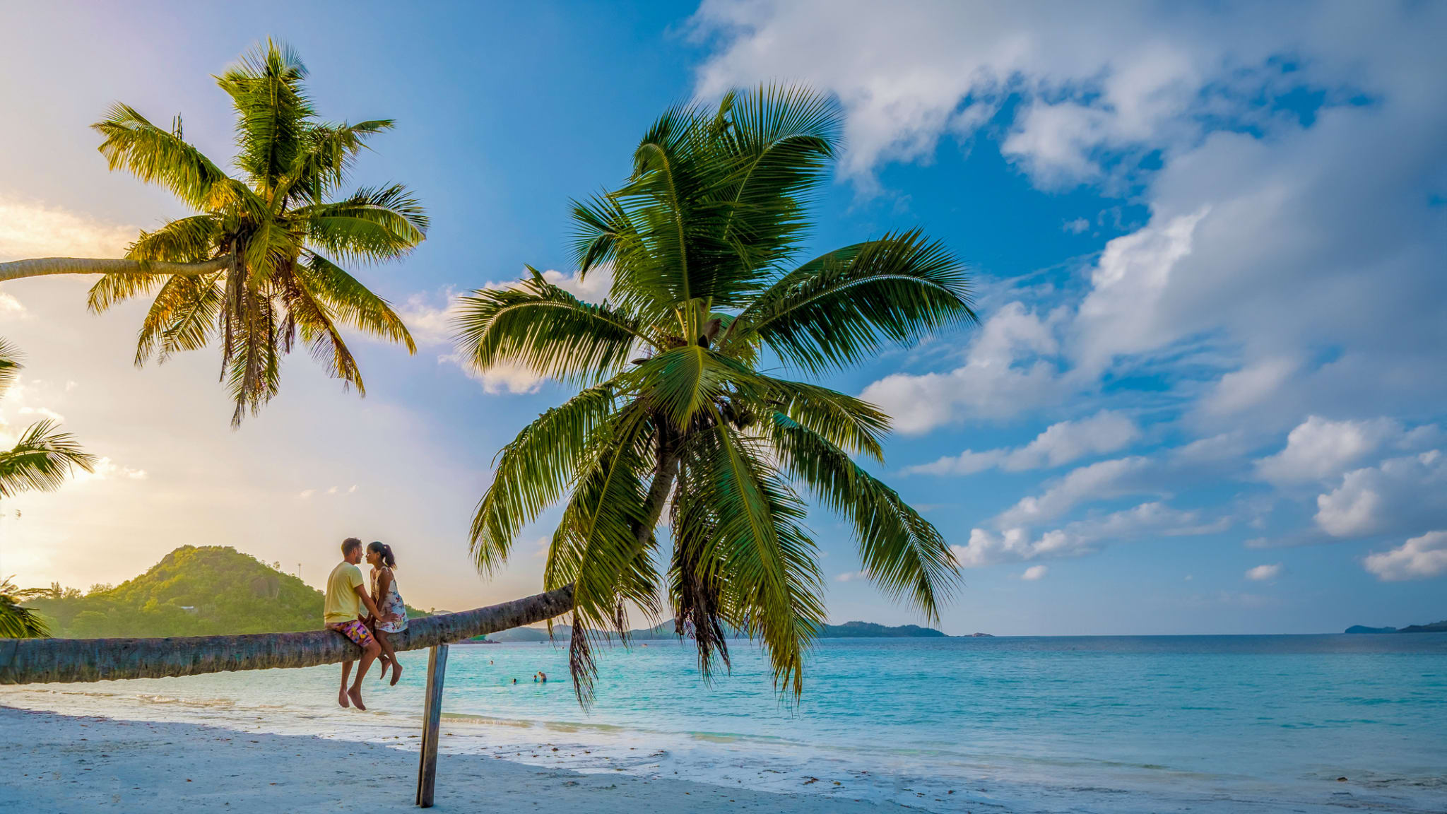 Zwei Personen sitzen auf einer Palme am Strand Anse Volbert auf Praslin, Seychellen
