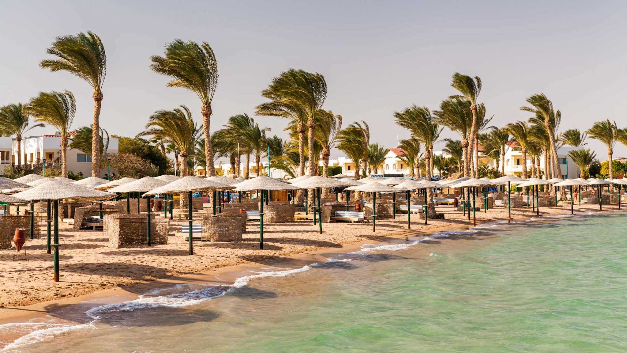 Palmen und Sonnenliegen am Strand von Hurghada am Roten Meer.