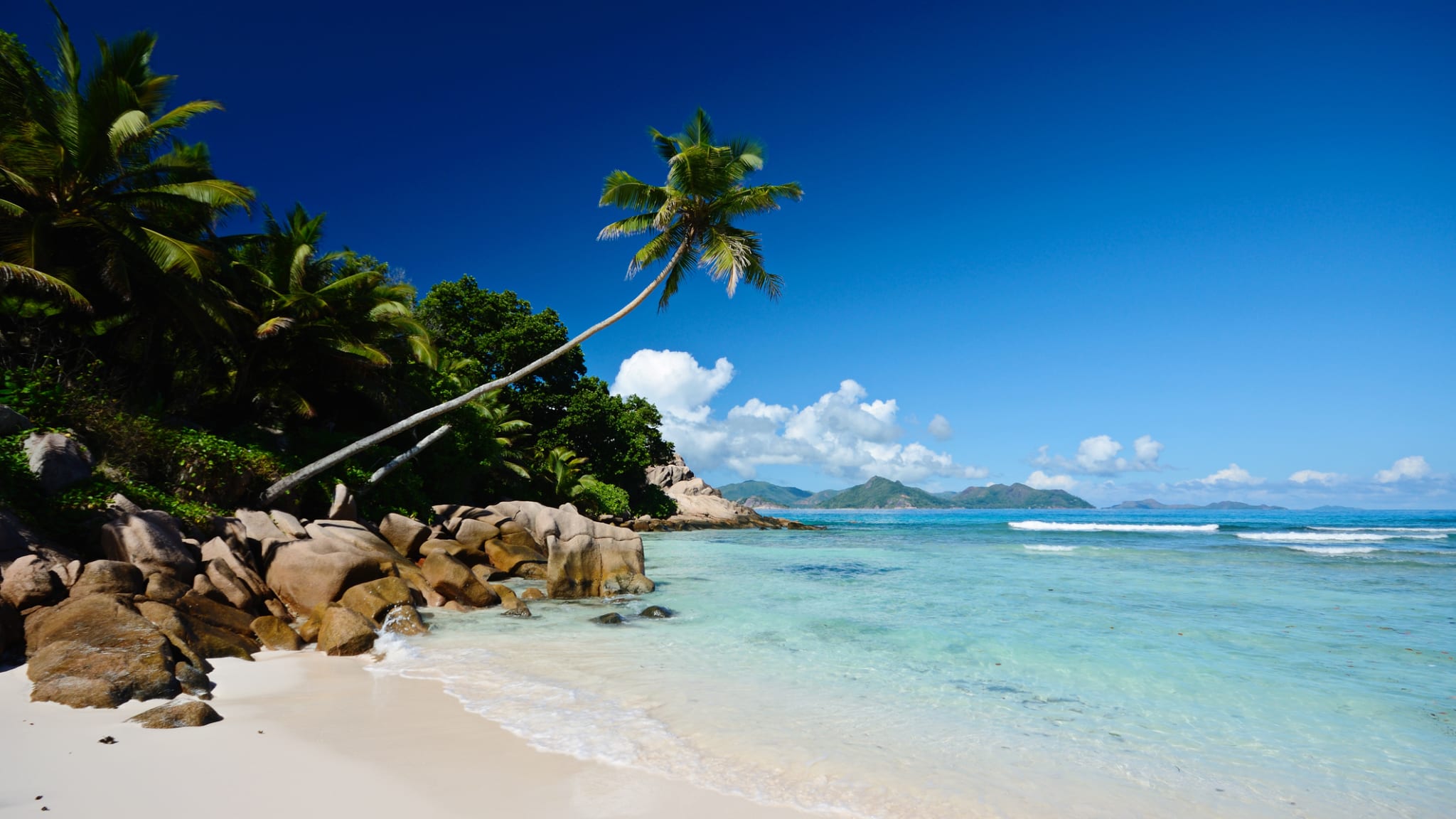 Palmen und Steine an einem Strand, La Digue, Seychellen.