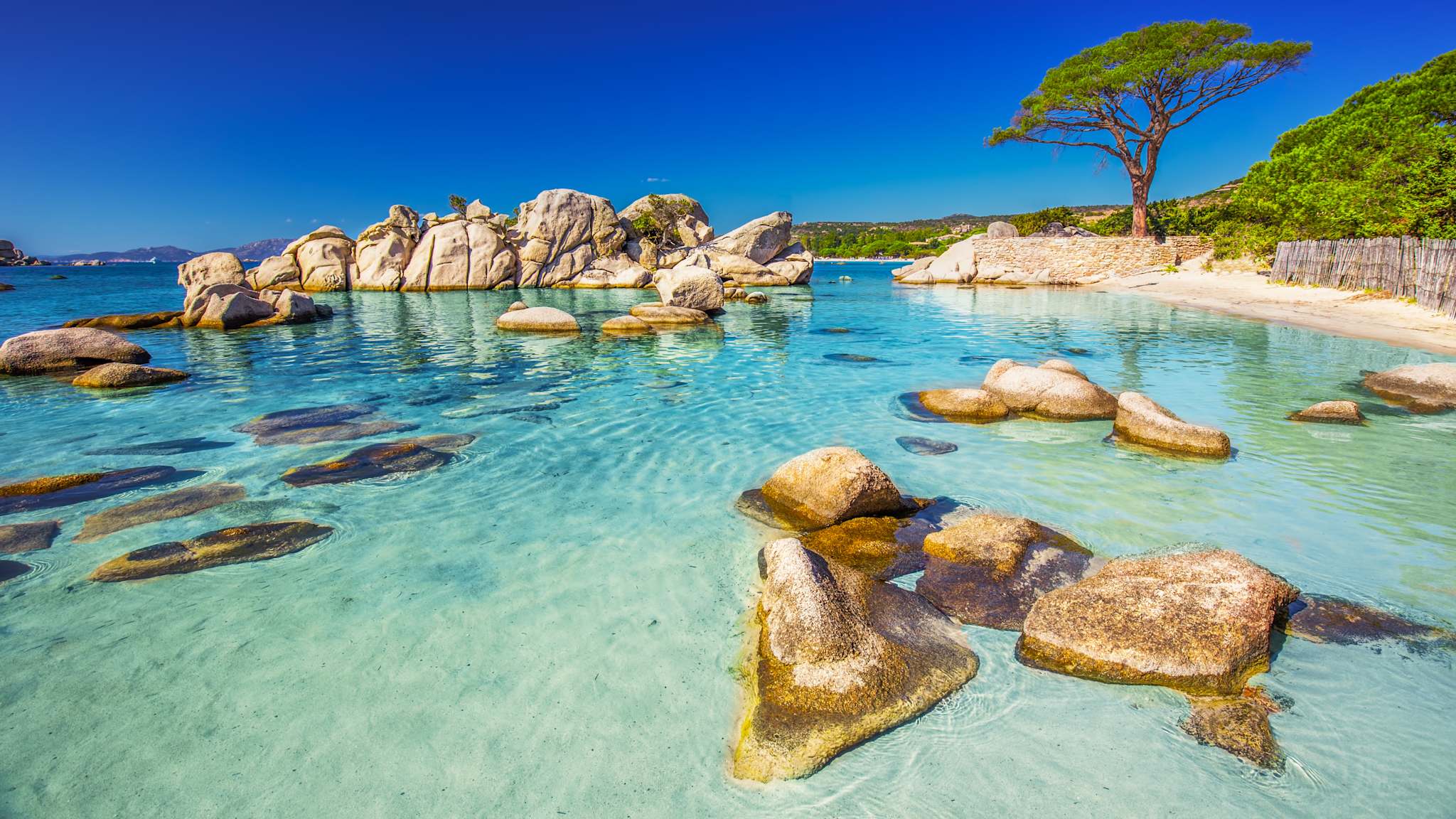 Felsen im Wasser am Strand.