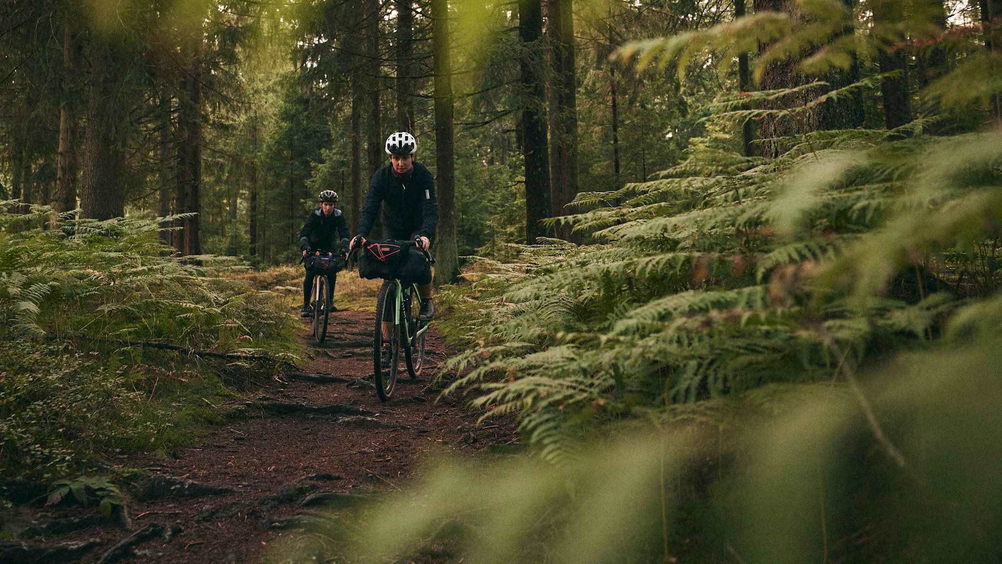 Zwei Radfahrerinnen fahren durch einen dunklen Nadelwald