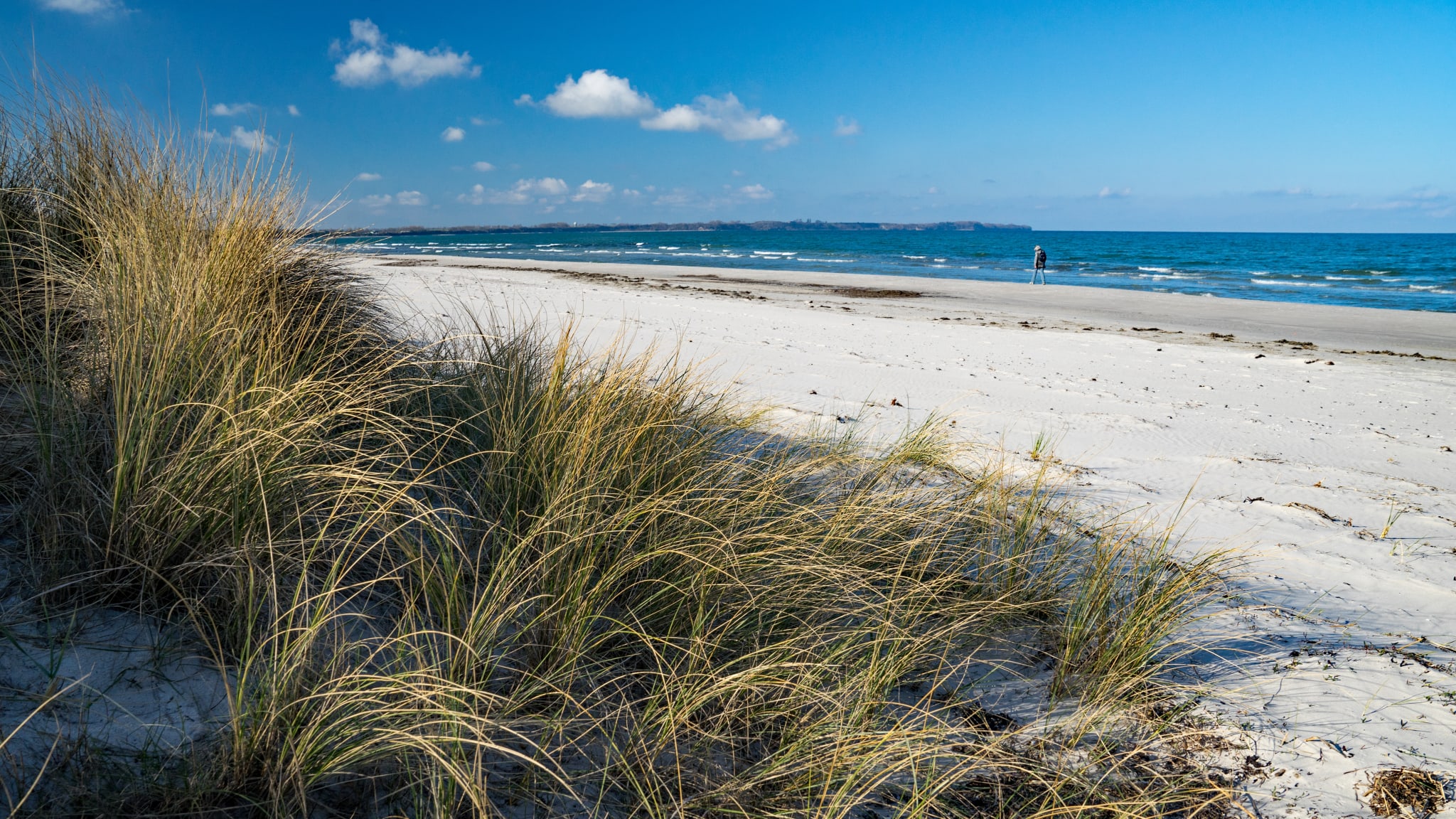 Der Strand von Schaaben bietet viel Zurückgezogenheit
