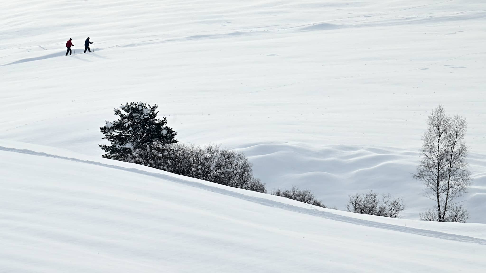 Schneeschuhwanderer laufen durch den Schnee in Mittelwald, Bayern. © CHRISTOF STACHE/AFP via Getty Images