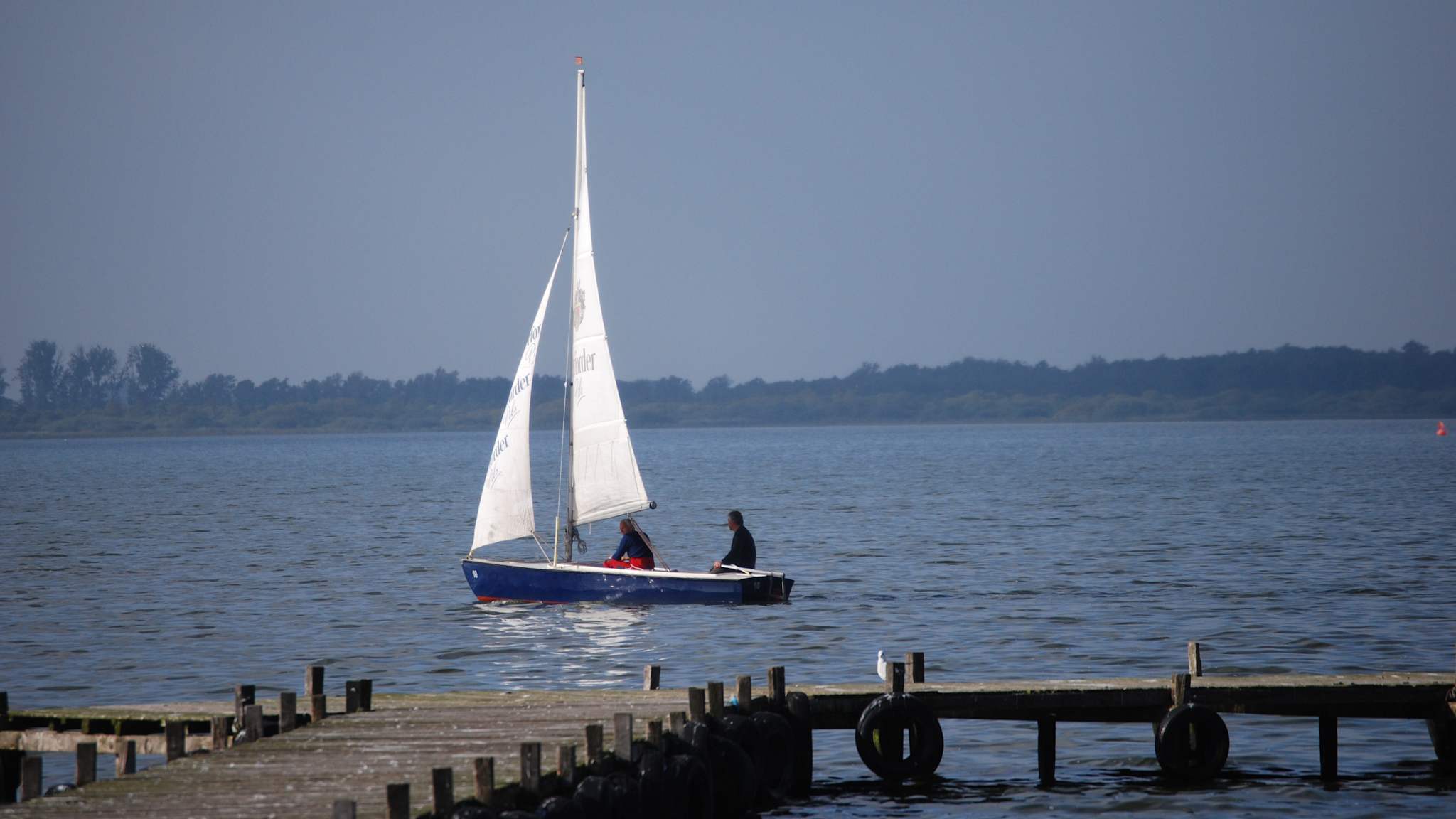 Ein Segelboot fährt auf dem Dümmer See