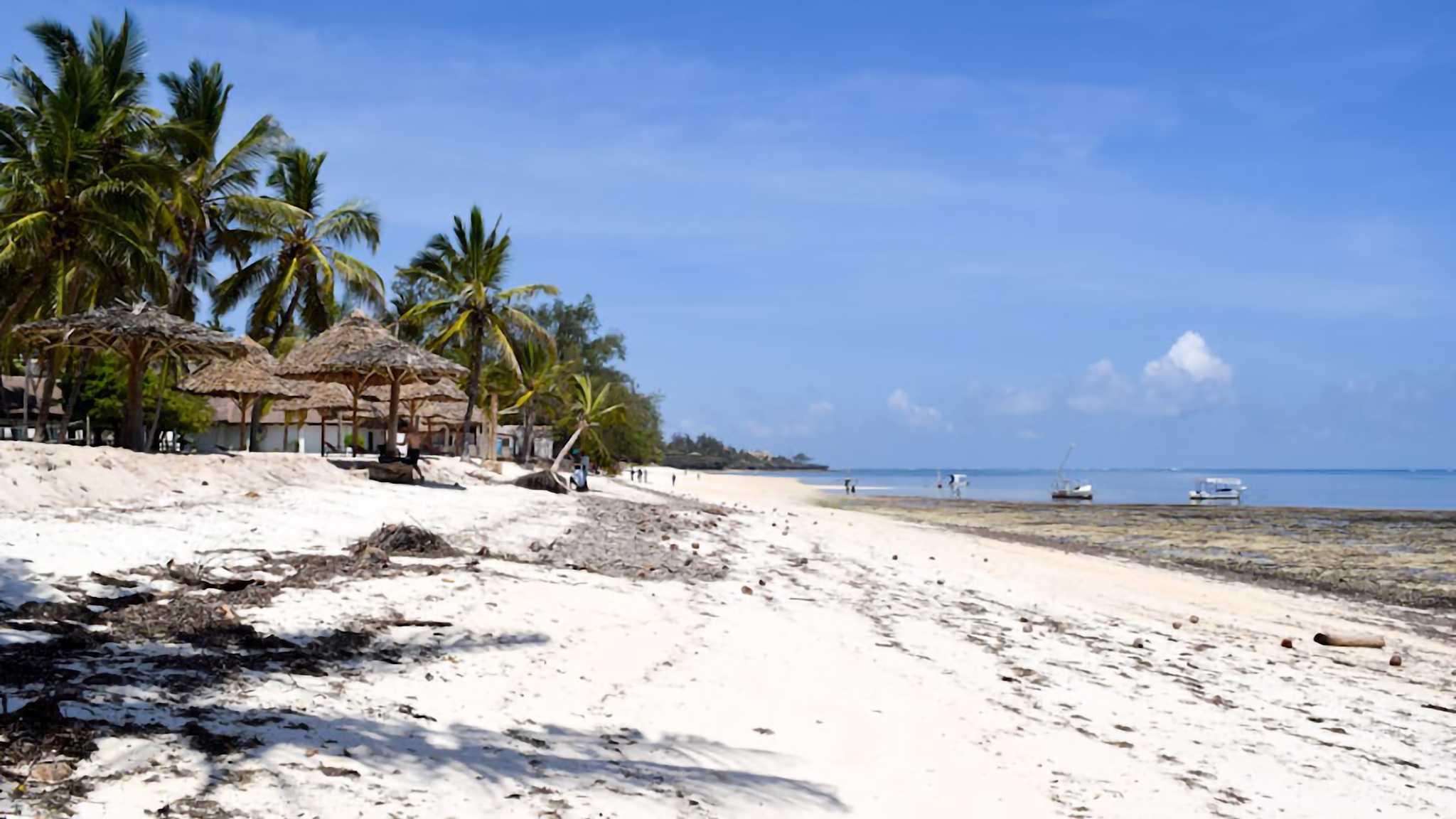 Blick auf den Shanzu Beach. Links sind Palmen zu sehen. Der Sand ist hell und in der Ferne ist das Meer zu sehen