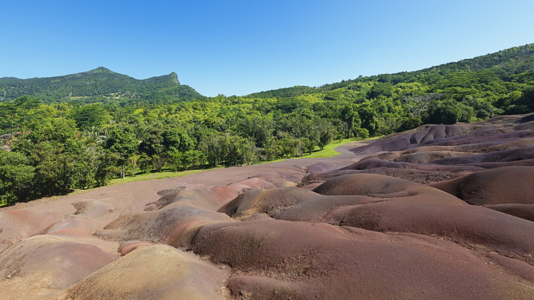 Siebenfarbige Erde neben einem grünen Wald auf Mauritius.