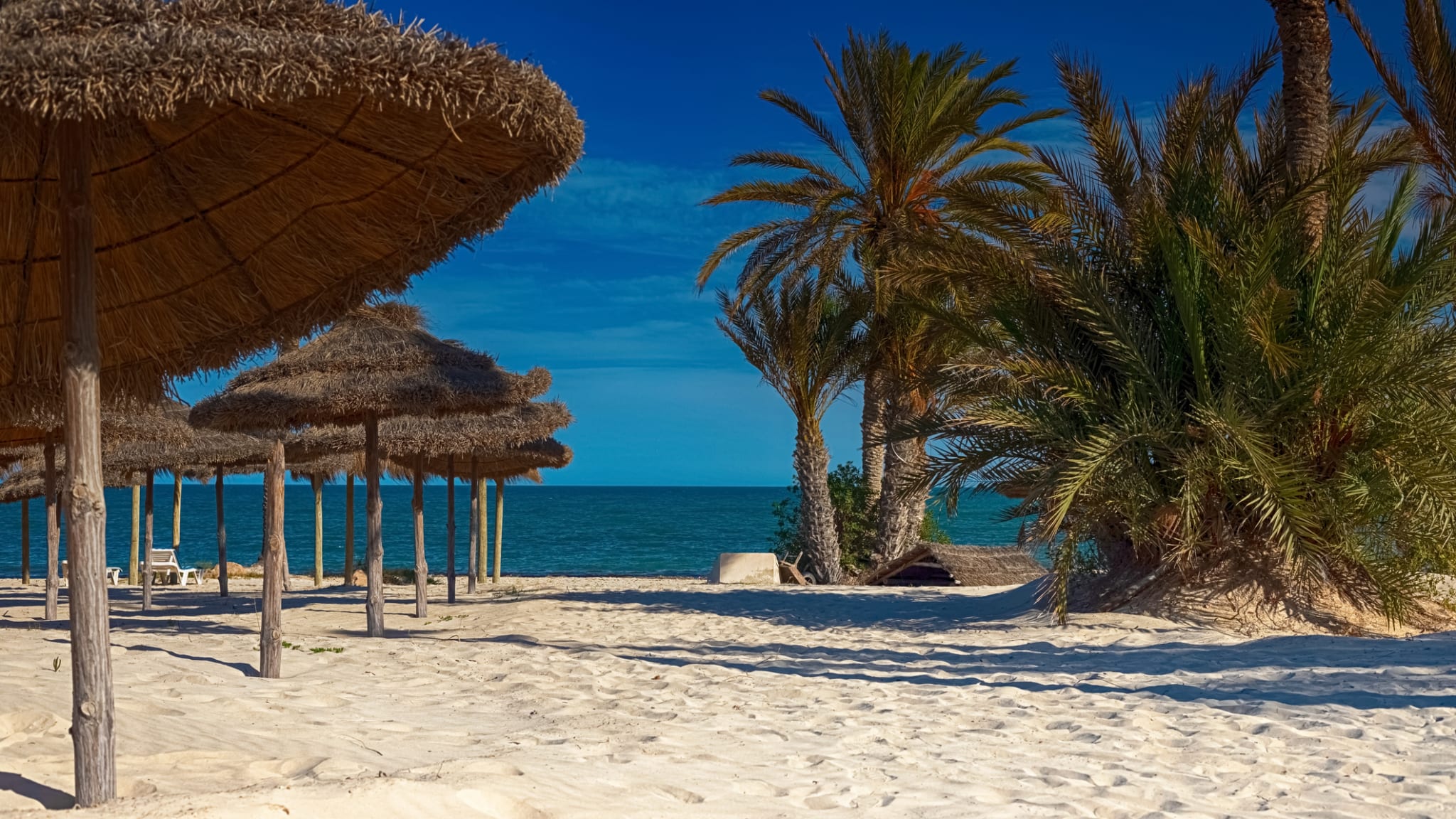 Sonnenschirme und Palmen am weißen Sandstrand auf der Insel Djerba, Tunesien