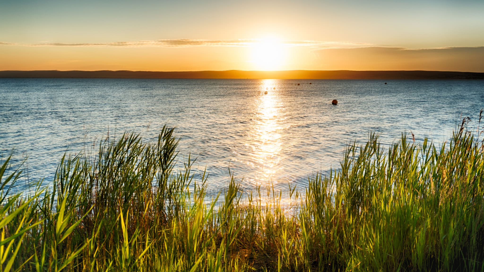 Sonnenuntergang am Neusiedler See in Podersdorf, Burgenland, Österreich.