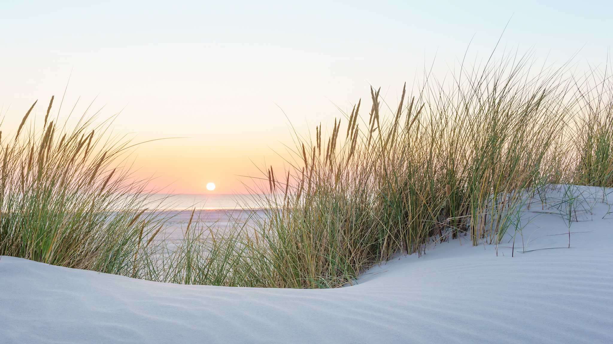 Sonnenuntergang an der Nordsee © shutterstock_2601859625