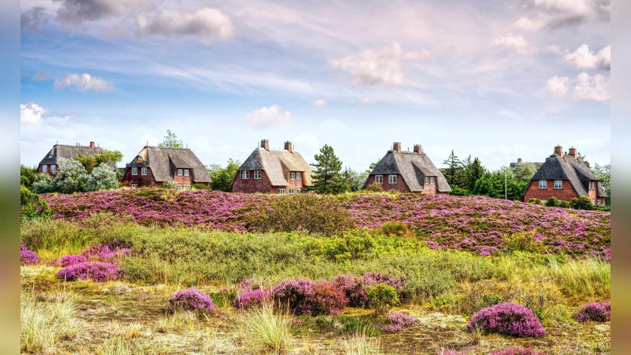 Reetdachhäuser prägen den Charme der Insel Sylt. © K I Photography/Shutterstock.com
