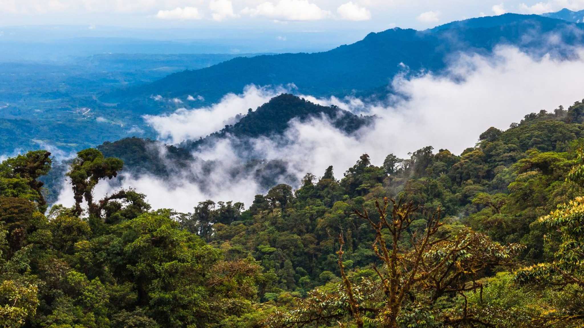 Die Galápagos-Inseln gehören zu den einzigartigsten Orten unseres Planeten. © Shutterstock.com/Ecuadorpostales