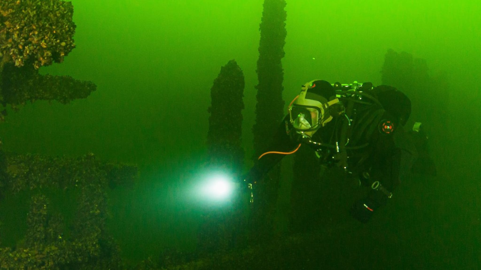 Im grünen Wasser der Ostsee können TaucherInnen versunkene Schiffe finden. © Erik Saanila/Shutterstock.com