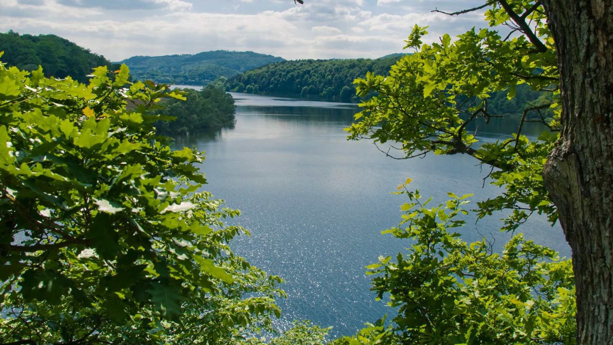 Der Edersee in Hessen. © iStock via Getty/runzelkorn