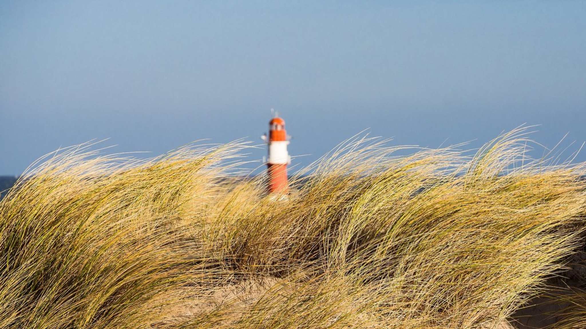 An Ostsee-Stränden findest Du Wind und Ruhe während anderswo das Konfetti fliegt. © RicoK/Shutterstock