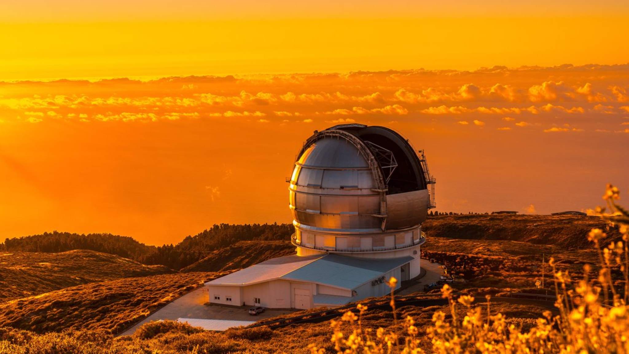 Auch auf La Palma stehen bedeutende Forschungseinrichtungen. © istock/Wirestock