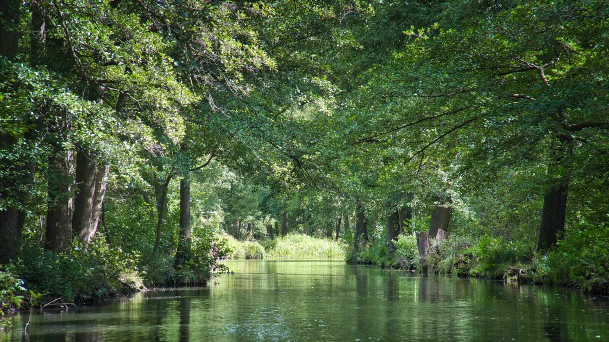 Für die international erfolgreiche Netflix-Serie "Dark" wurde viel in Brandenburg gedreht. © istock/Martin Koebsch