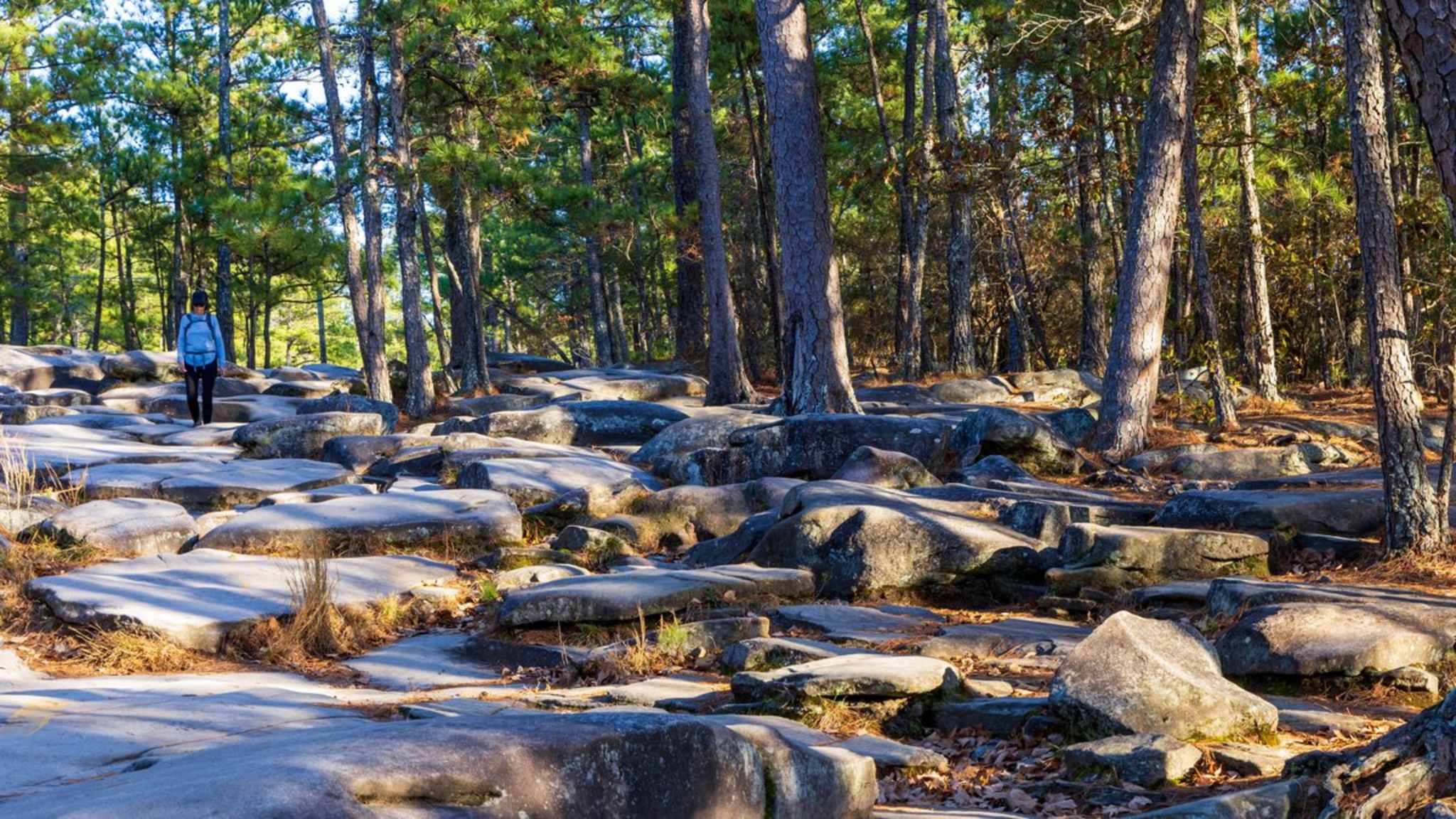 Der Stone Mountain Park liegt wie fast alle Drehorte von "Stranger Things" im Großraum Atlanta. © istock/Faina Gurevich