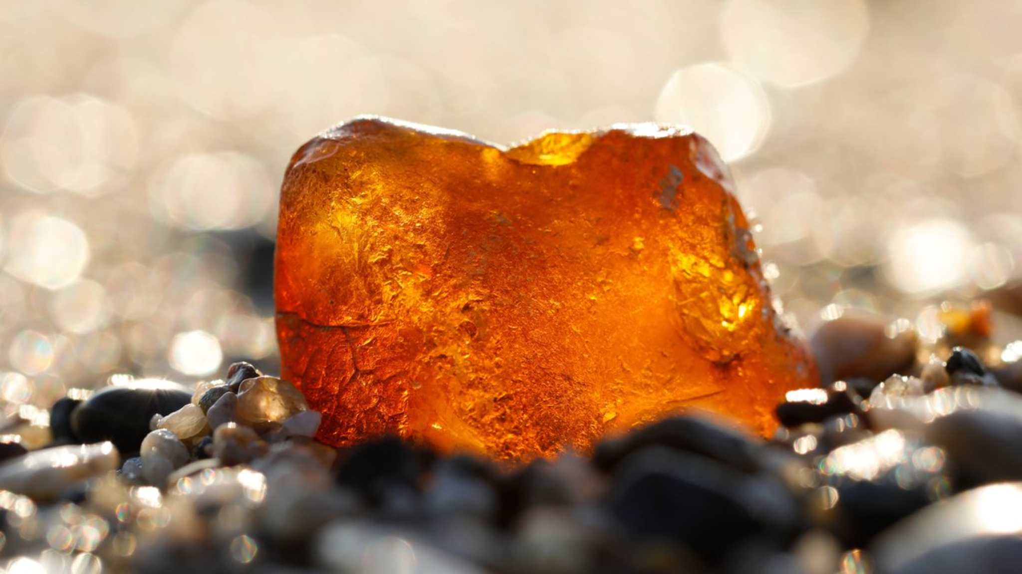 An Ostseestränden findet man mit Glück Bernstein. © iStock via Getty/claffra