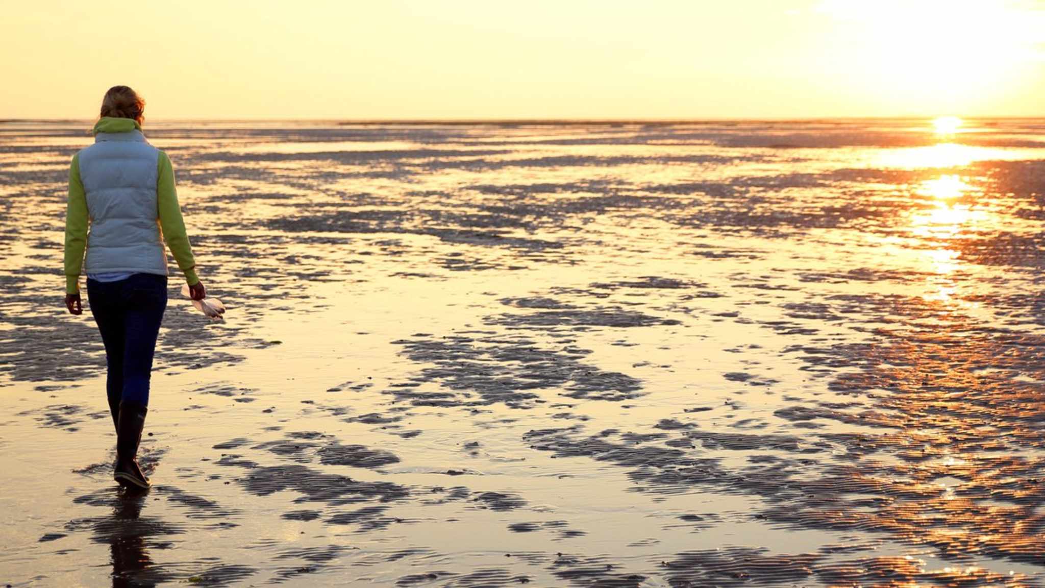 Wenn die Sonne über dem Wattenmeer auf- oder untergeht, haben nicht nur die vorbeiziehenden Vögel zu staunen. © iStock via Getty/claffra