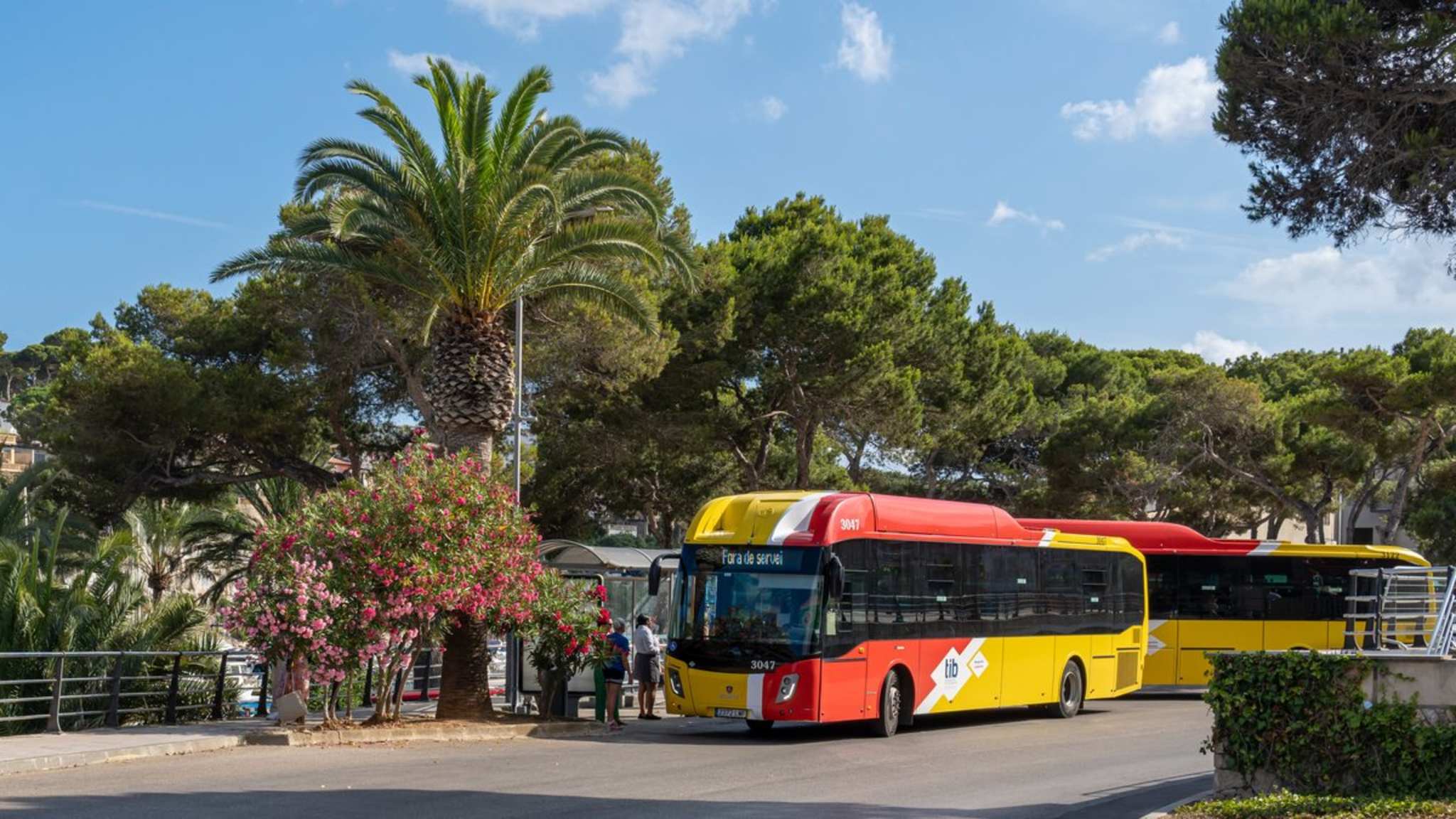 TIB-Busse fahren regelmäßig über die ganze Insel. © Neme Jimenez/iStock