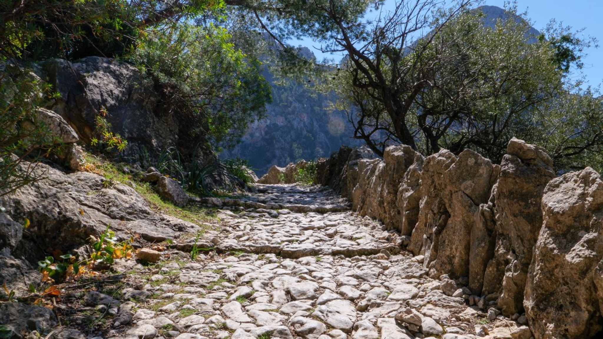 Rund um das Kloster Lluc findest Du gut schaffbare Wanderwege. © Edda Dupree/iStock