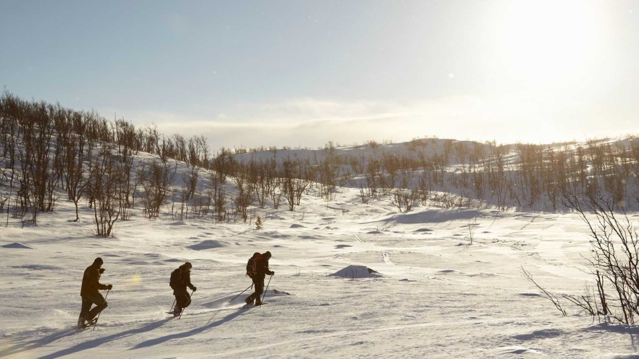 In Norwegen gehört Langlaufen zu den beliebtesten Sportarten. © Soren Hald/iStock
