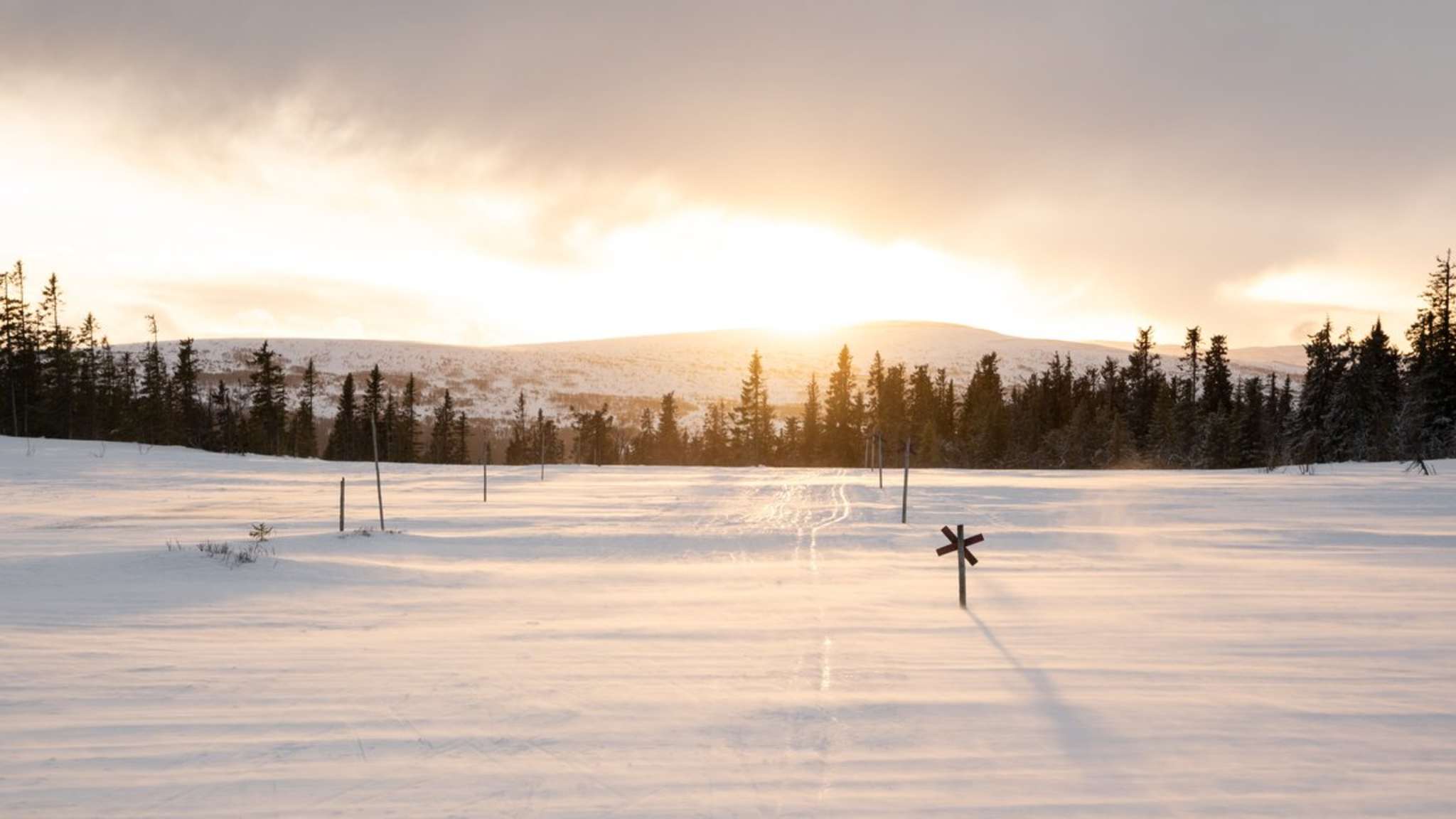 Weite verschneite Landschaften sind genau Dein Ding? Dann könnte der Langlauf etwas für Dich sein. © Jacob Hall/iStock