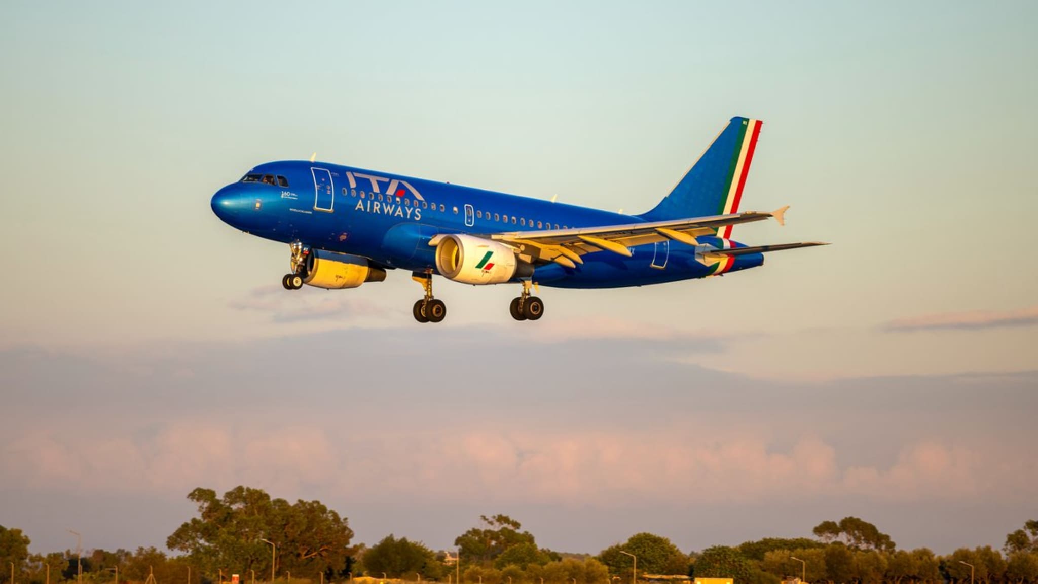 ITA Airways erlaubt künftig größeren Hunden, in der Kabine statt im Frachtraum zu reisen. © istock/GordZam