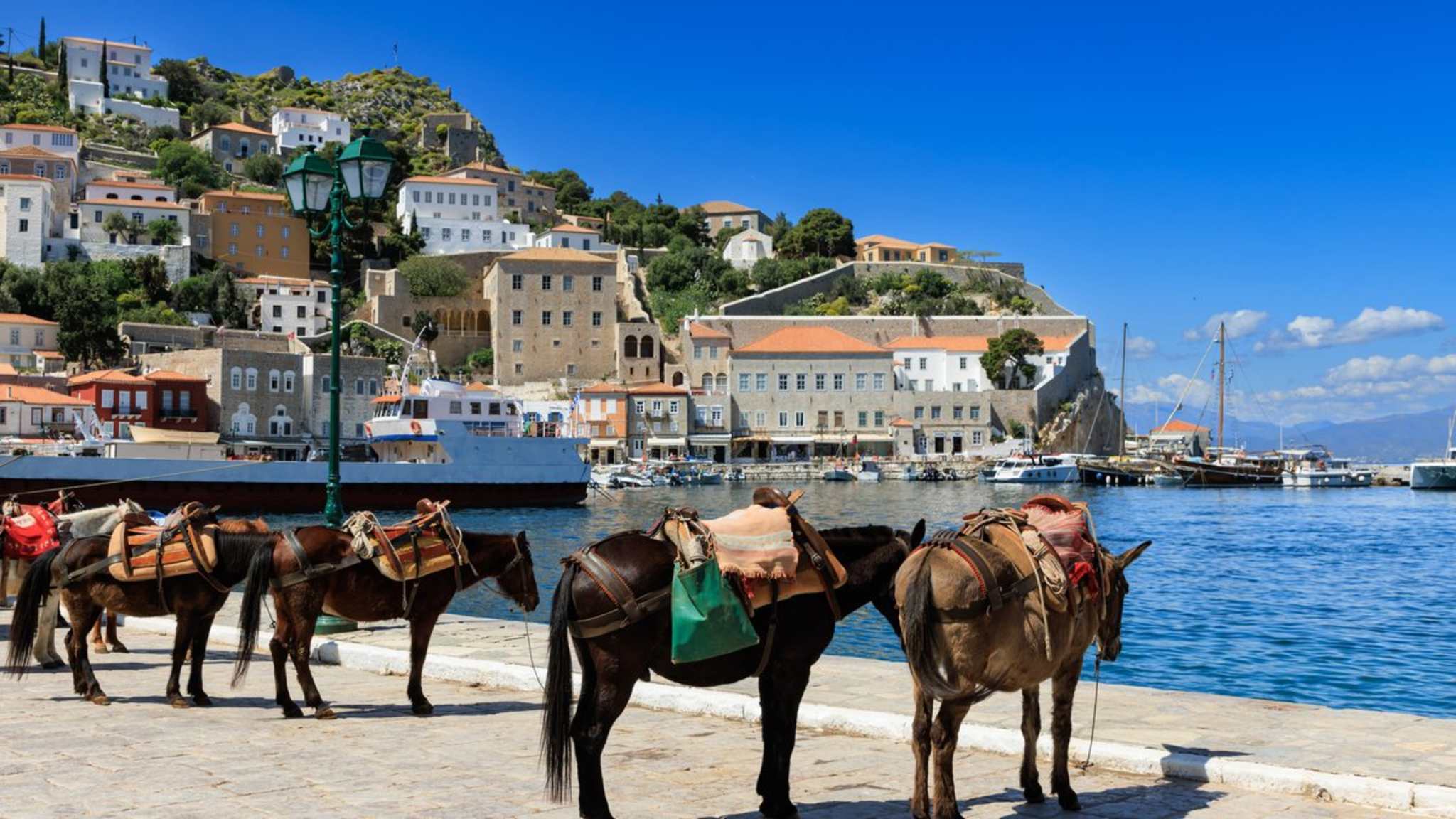 Auf Hydra kommen teils Esel, Maultiere und Boote statt Autos zum Einsatz. © iStock via Getty/EdwardShtern