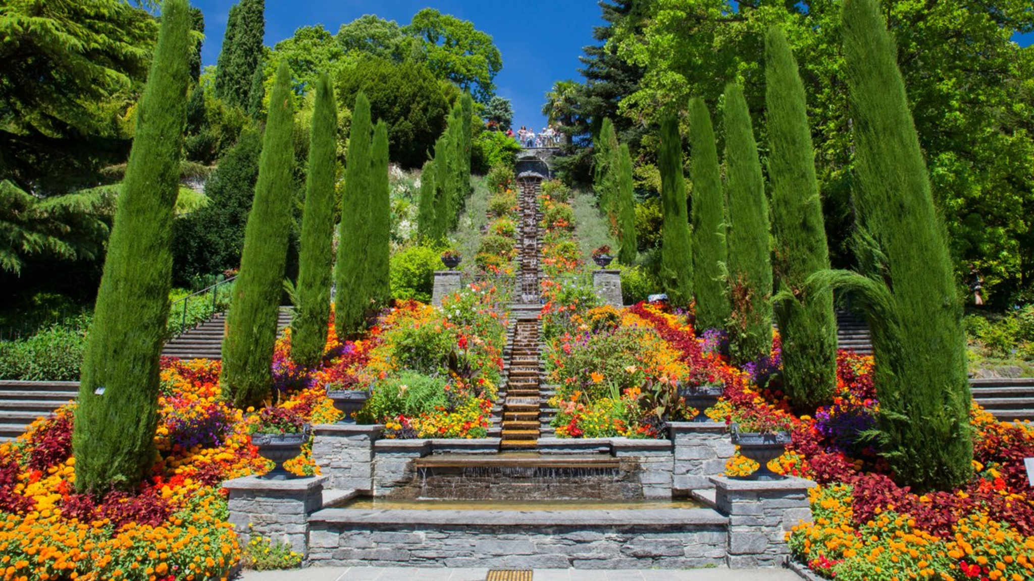 Die Bodenseeinsel Mainau gilt im Frühling und zu anderen Jahreszeiten als farbenfrohes Blütenparadies. © iStock via Getty/Andreas Rose