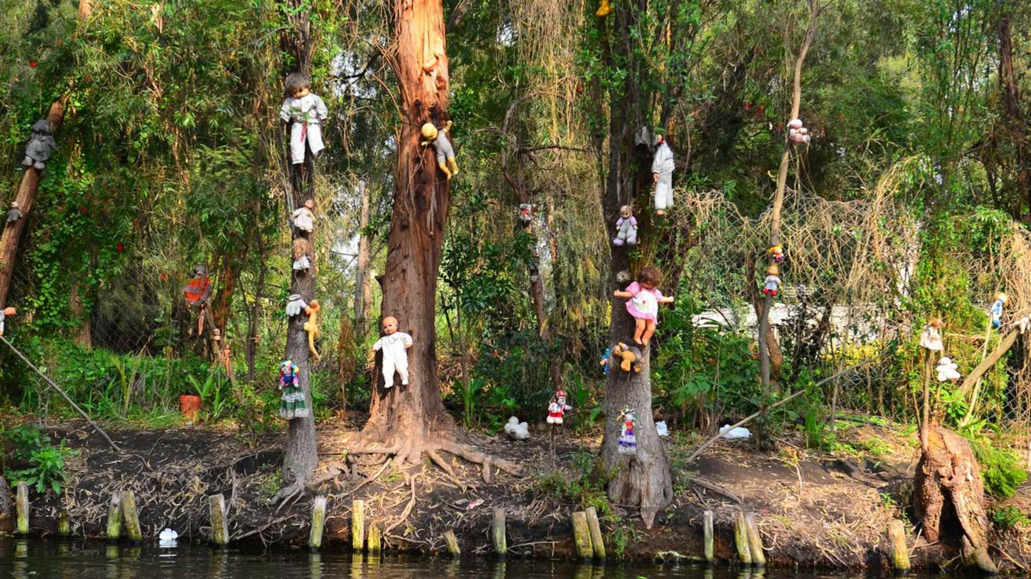 Die Puppeninsel ist Teil des UNESCO-Kulturerbes von Mexiko-Stadt. © Shutterstock.com/avf71
