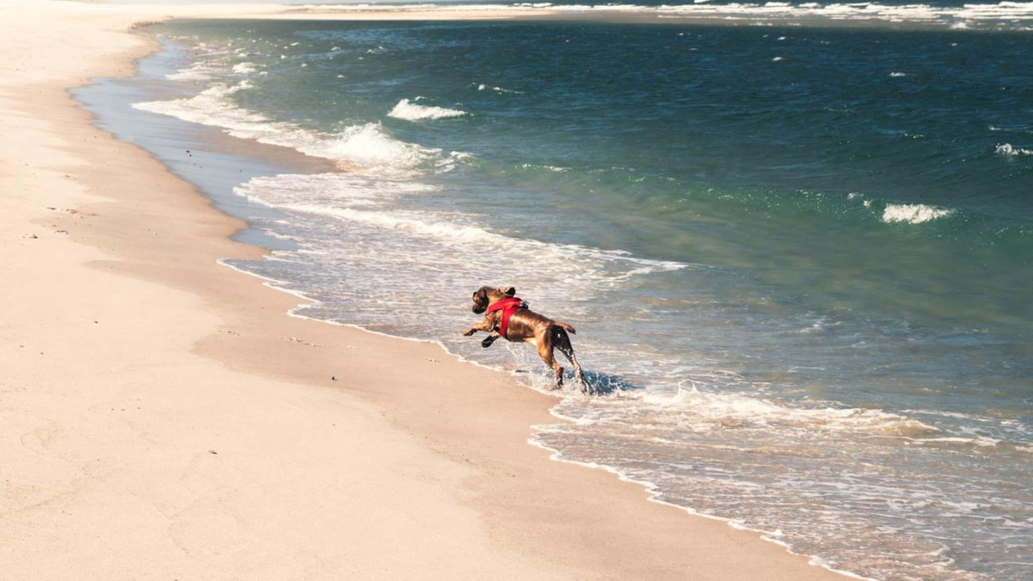 Entlang der Nordseeküste sind besonders nach Unwettern Bernsteine zu finden. © iStock via Getty/Say-Cheese