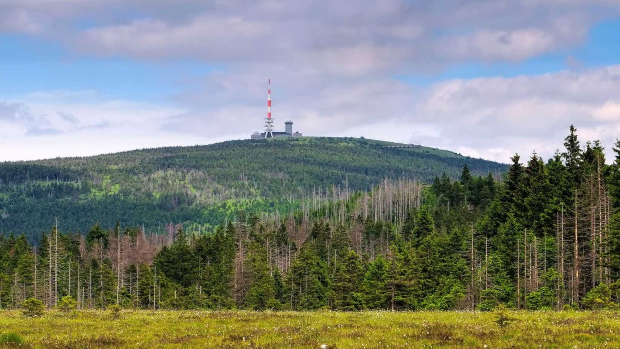 Blick auf das Brockenplateau im Harz. © iStock via Getty/LianeM