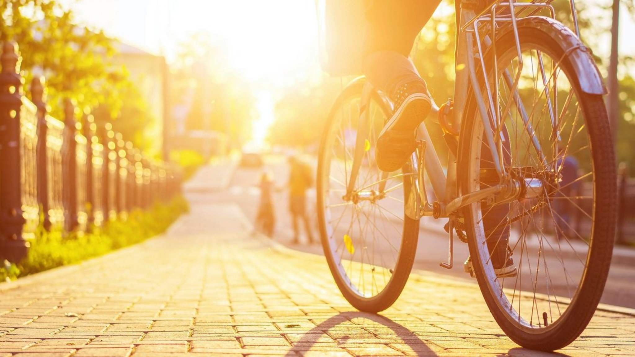 Wo in Deutschland radelt es sich am besten? © Alex Yuzhakov/Shutterstock.com