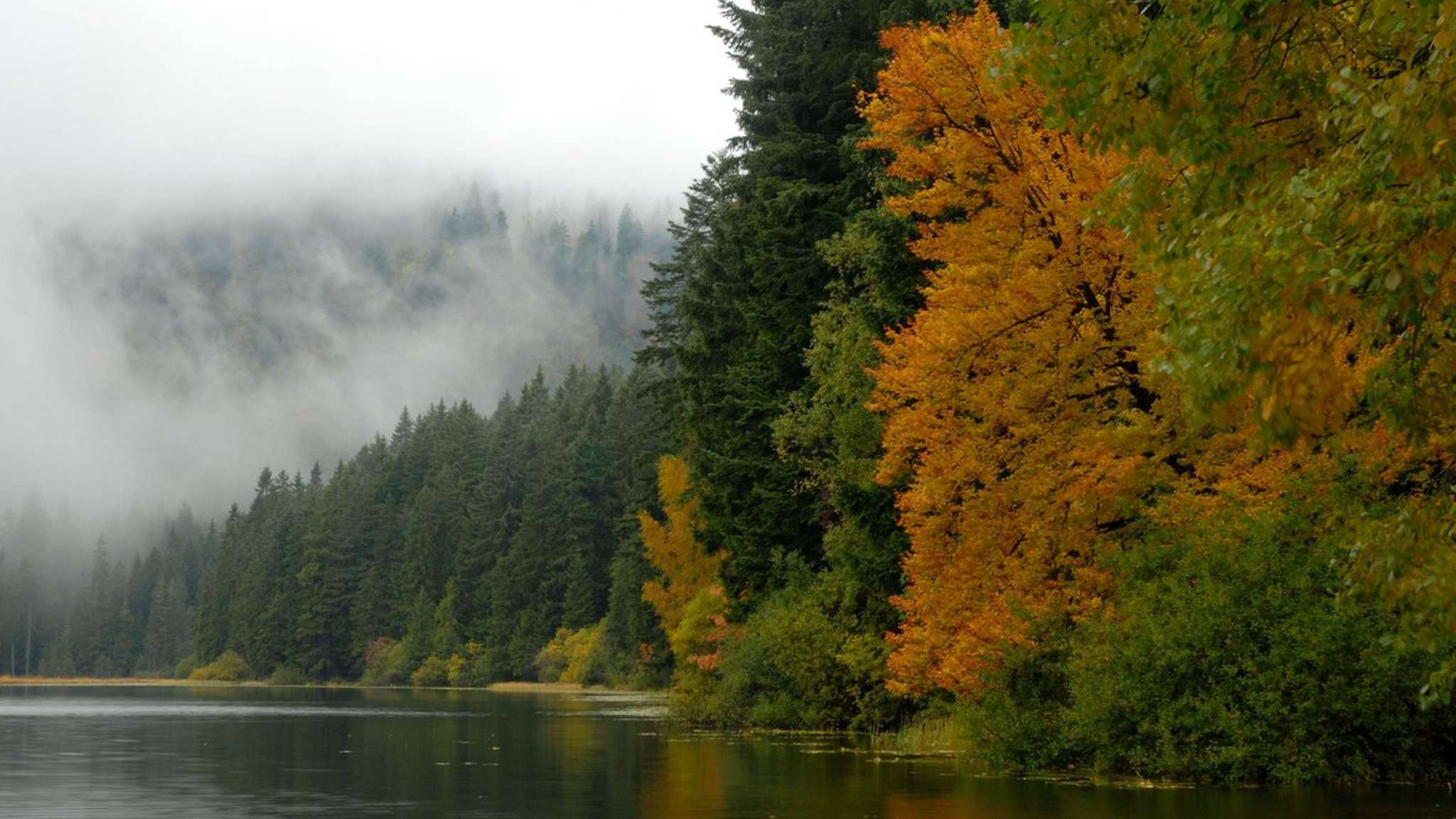 Im Herbst leuchtet der Bayerische Wald in den schönsten Farben. © imago images/Zoonar/Karin Jähne