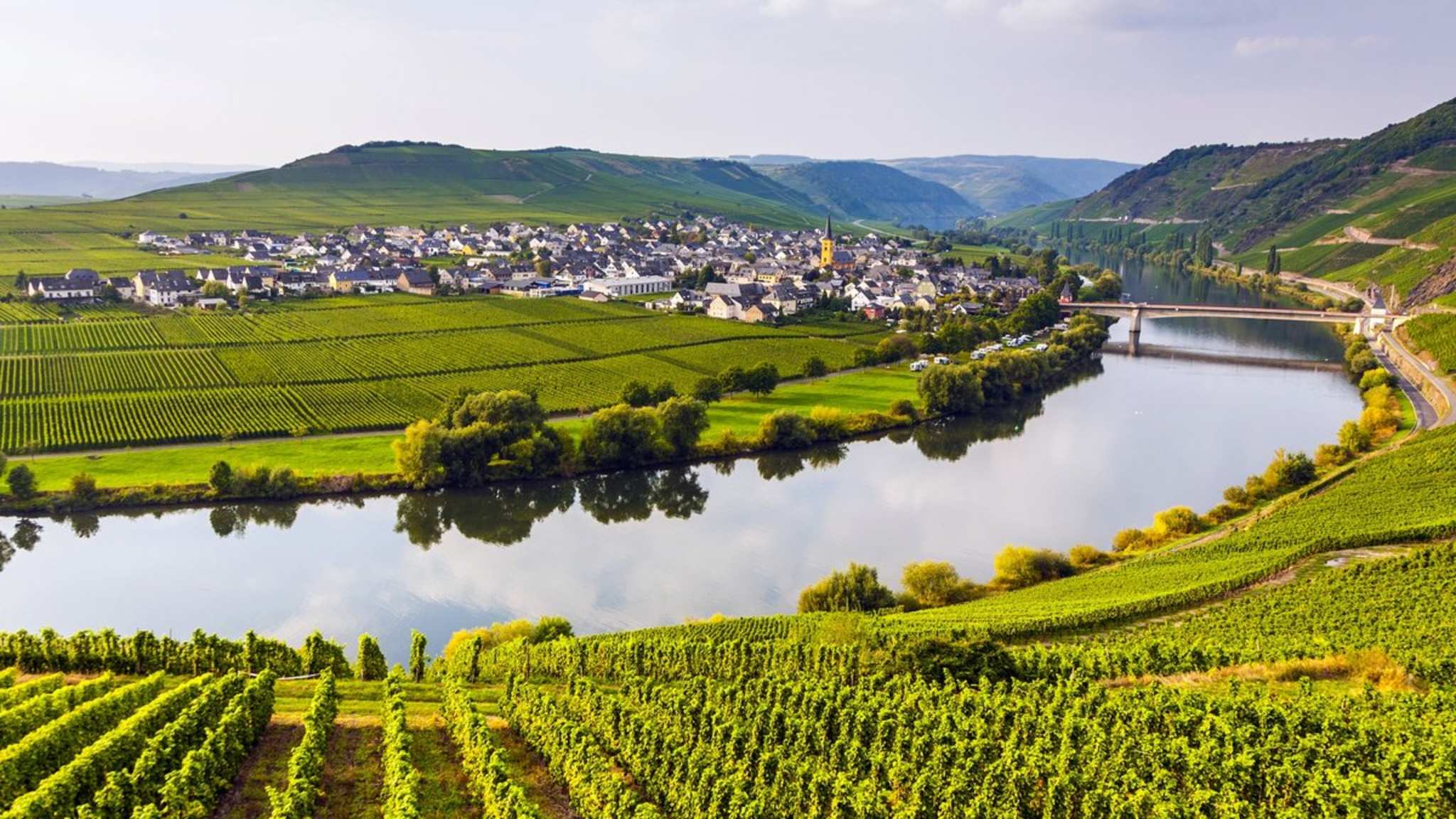 Entlang der Mosel ist im Herbst Weinlese. © travelview/Shutterstock.com