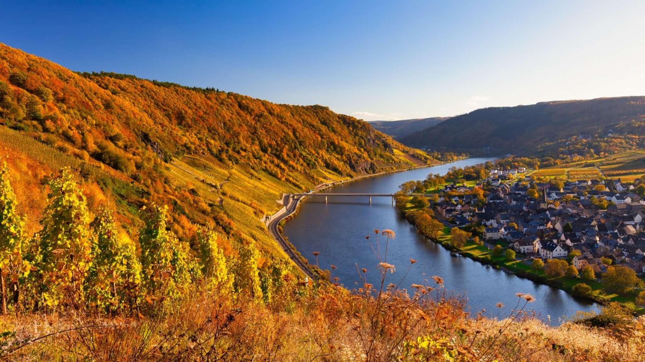 Die Mosel ist eine von Deutschlands beliebtesten Reiseregionen im Herbst. © Bas Meelker/Shutterstock.com