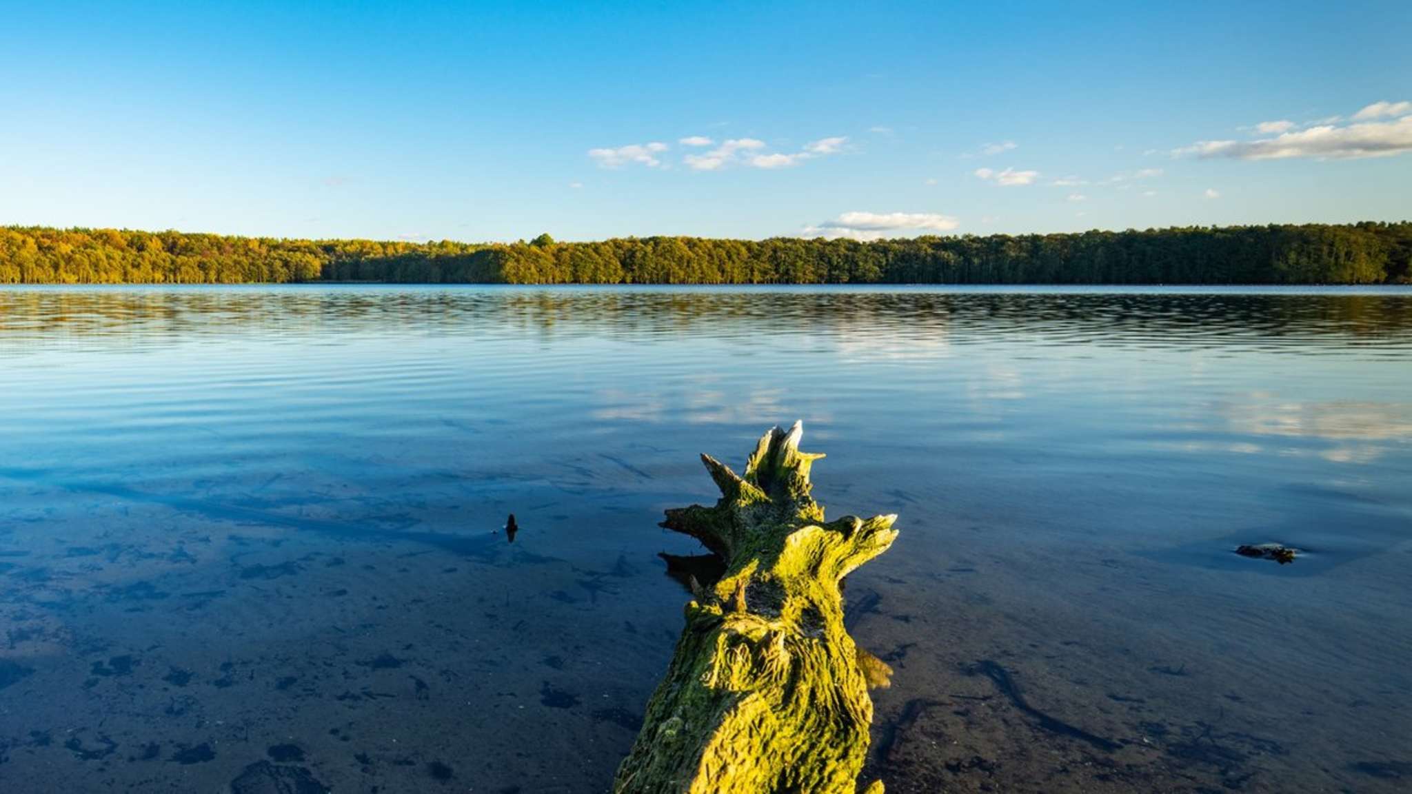 Der Müritz-Nationalpark bietet Mensch wie Tier Raum für Erholung. © dugdax/Shutterstock.com