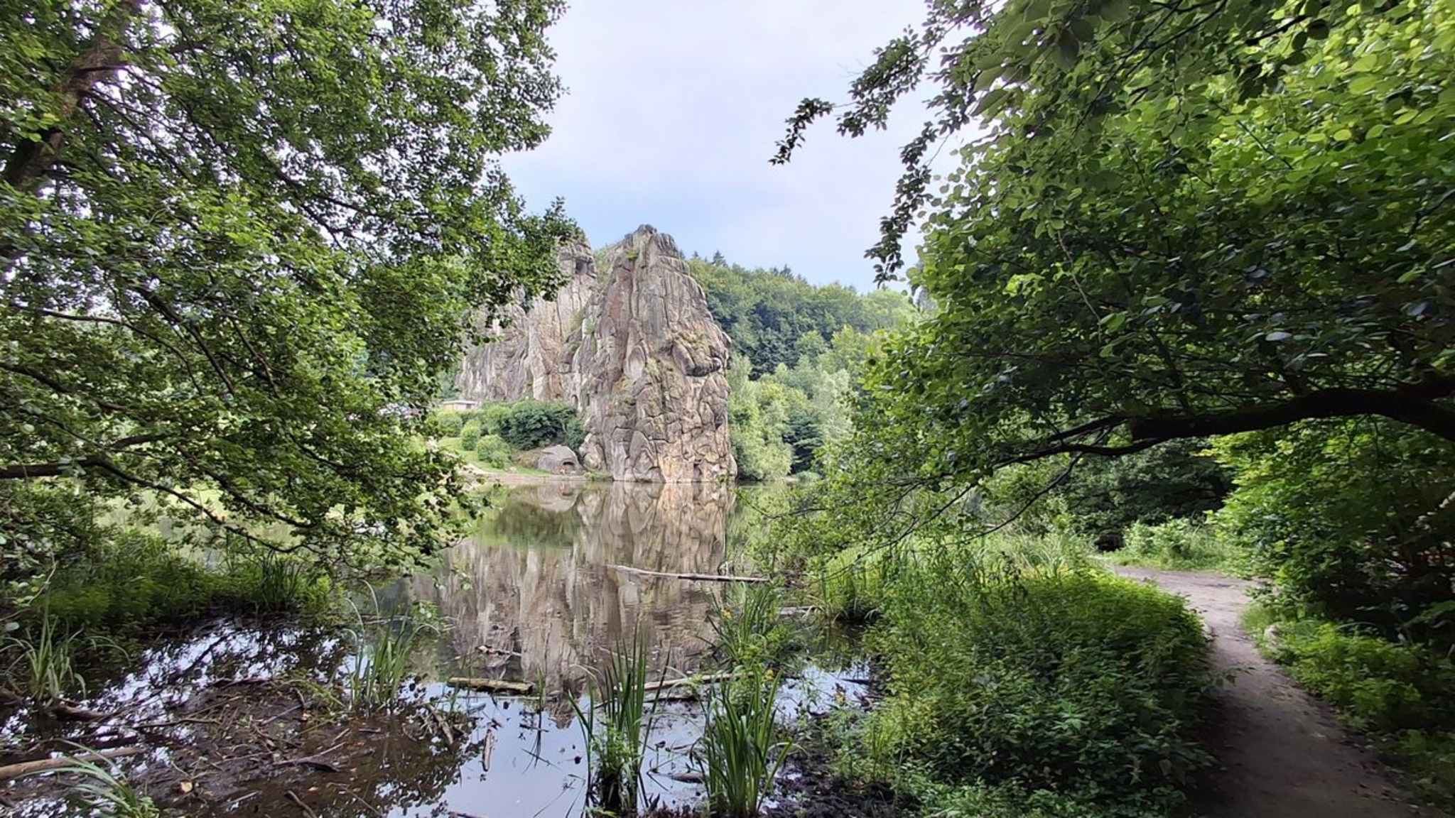 In Deutschland findest Du in allen Himmelsrichtungen Wald-Idylle. © KASAfoto/iStock via Getty Images