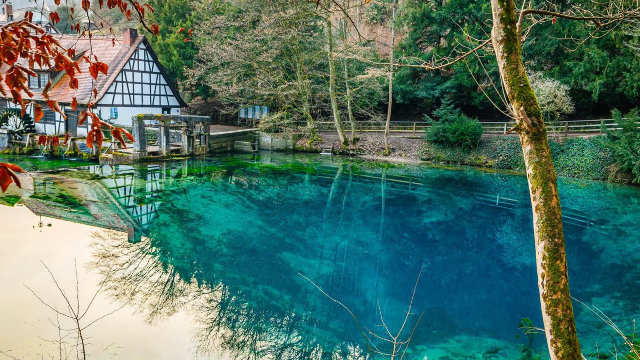 Der Blautopf in Blaubeuren. © Moritz Klingenstein / Shutterstock.com