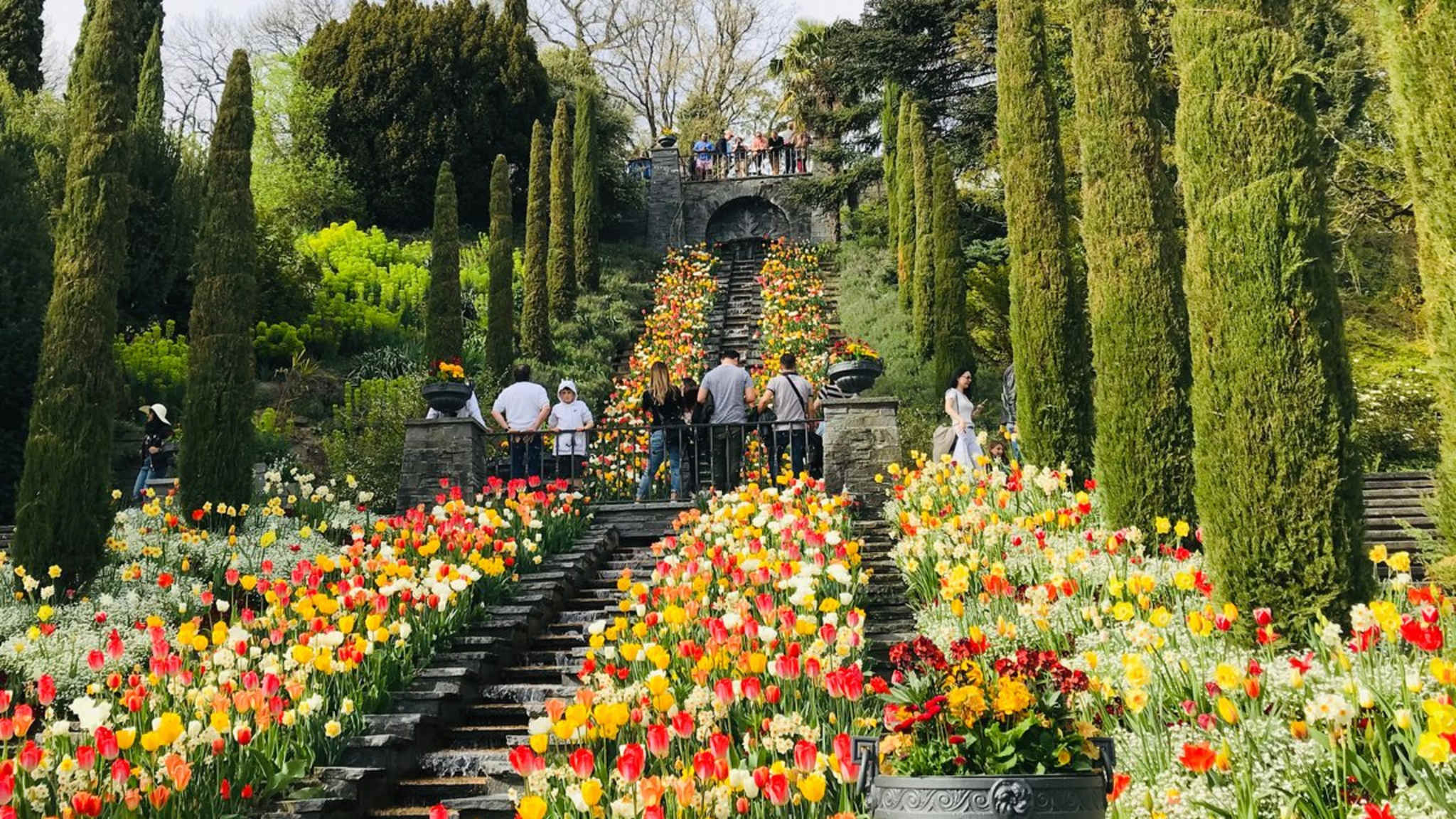 Die Blumeninsel Mainau zieht jedes Jahr tausende Besucher in ihren Bann. © Polina LVT/Shutterstock.com