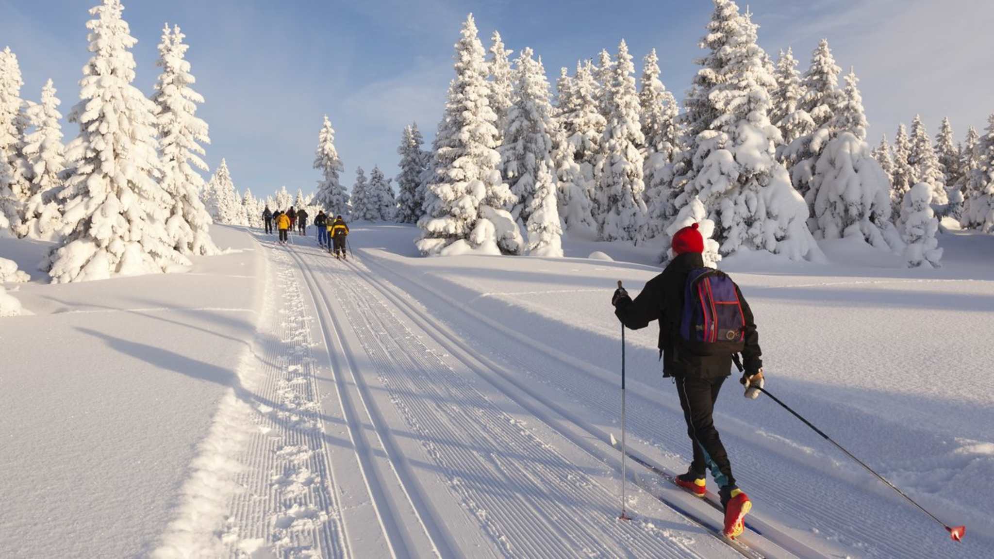 Langlaufen ist für manche der schönste Wintersport. © Rob Kints/Shutterstock.com